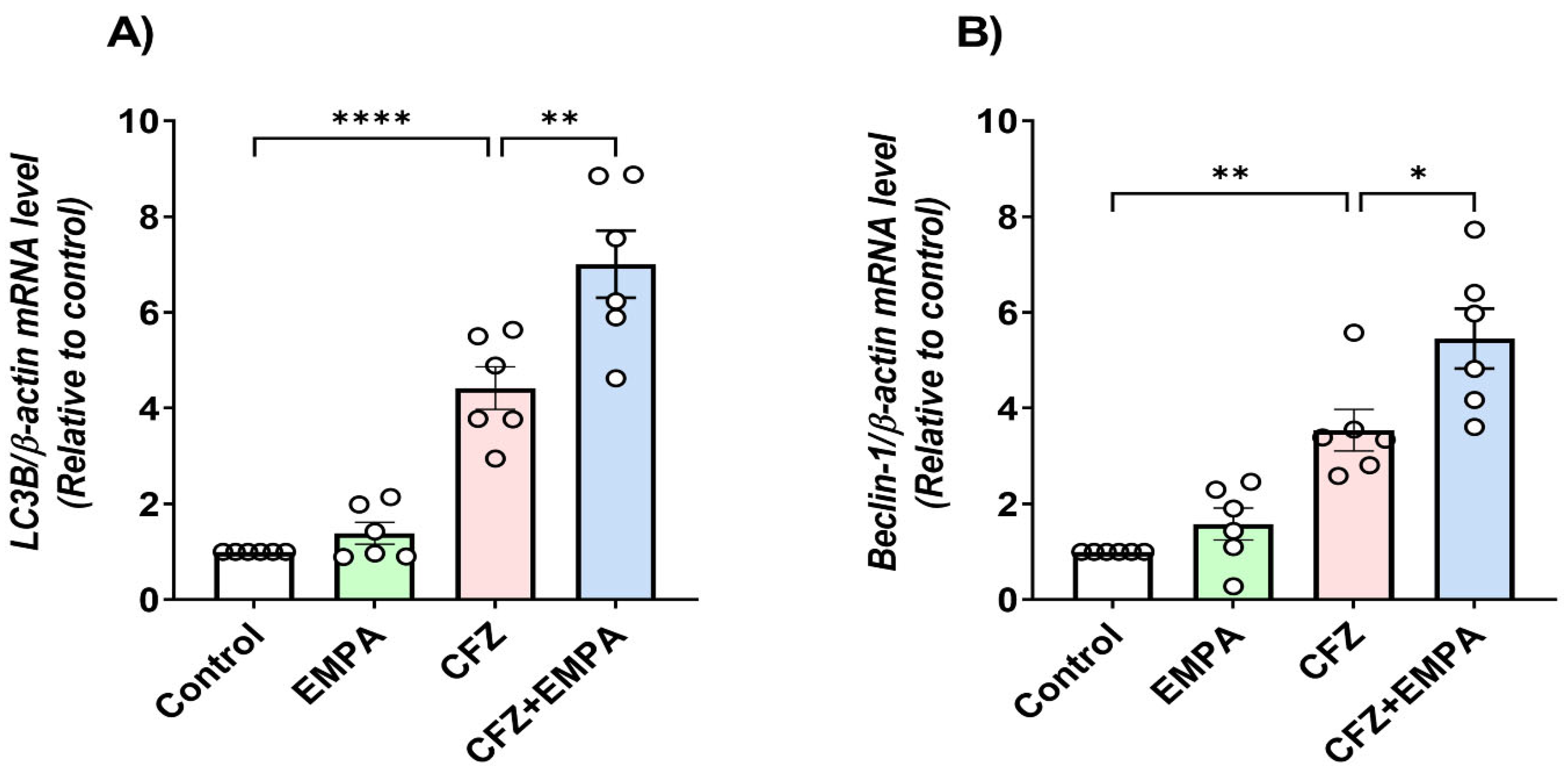 Antioxidants 13 00671 g006
