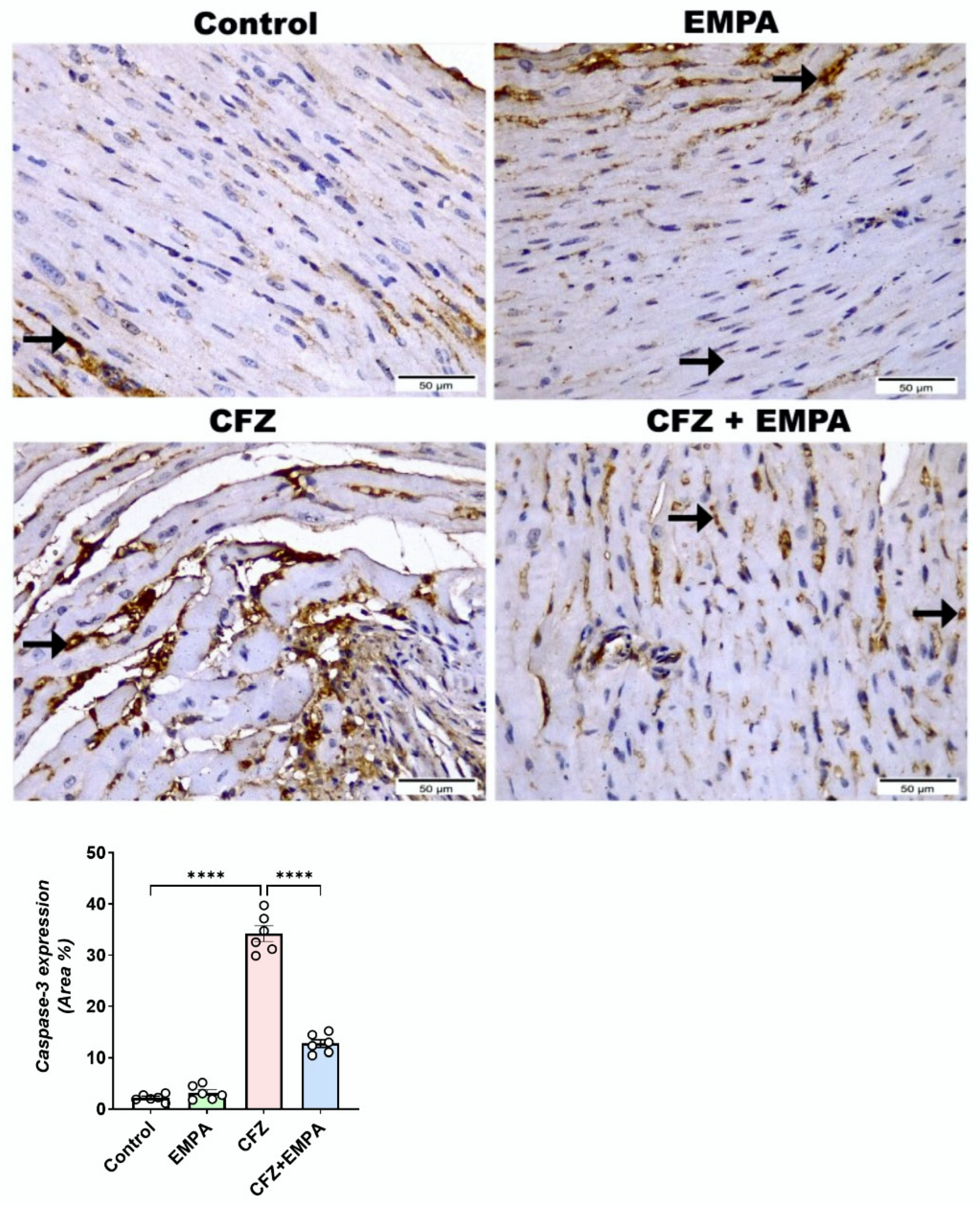 Antioxidants 13 00671 g008