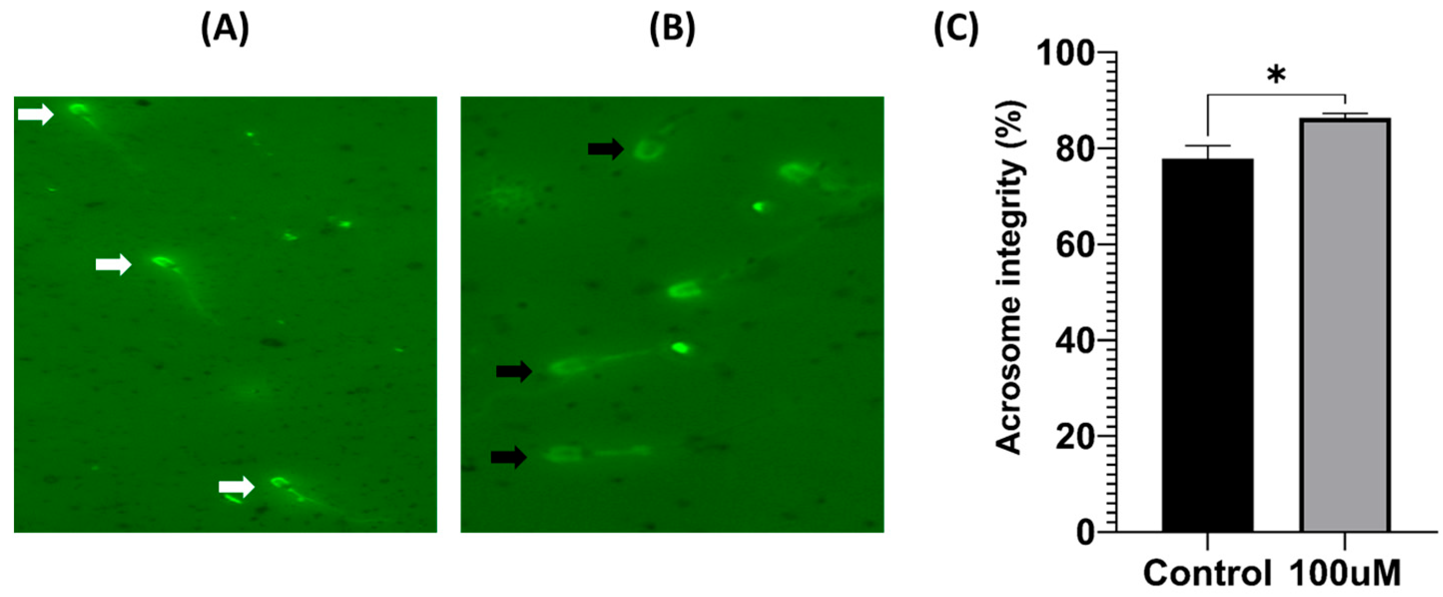 Antioxidants 13 00672 g003
