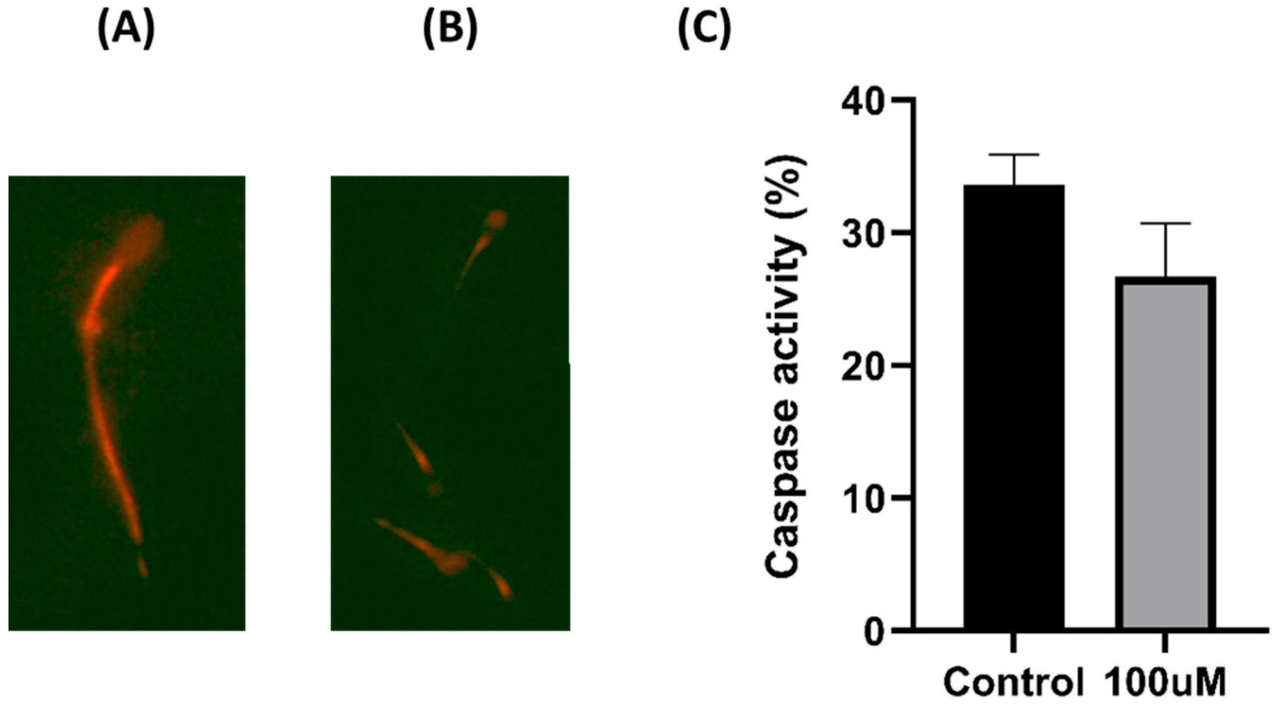 Antioxidants 13 00672 g006