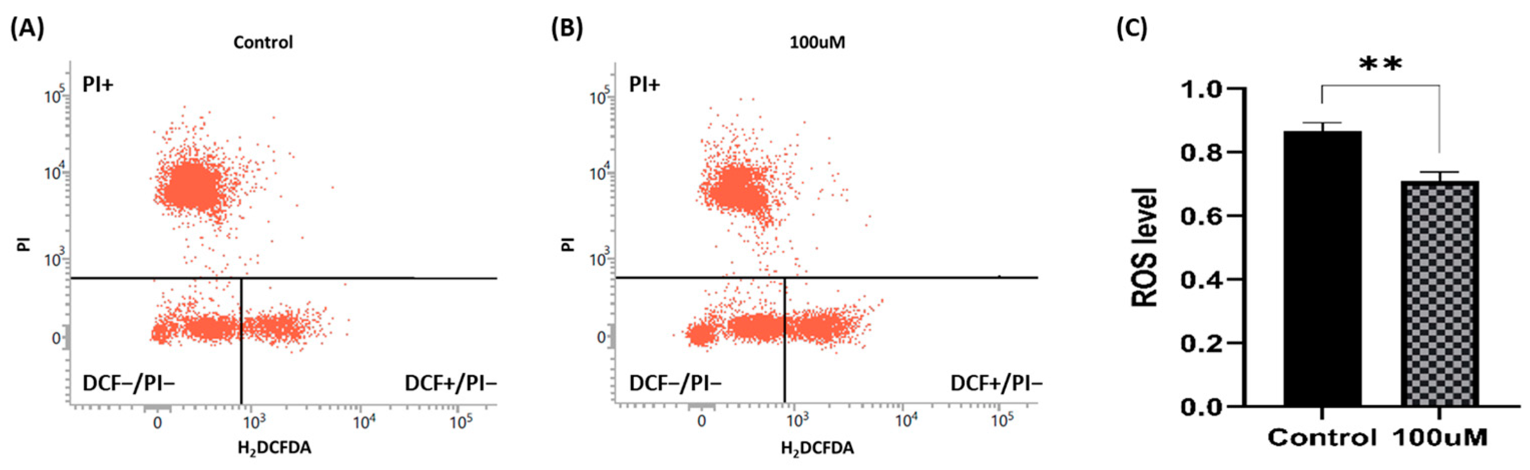 Antioxidants 13 00672 g009