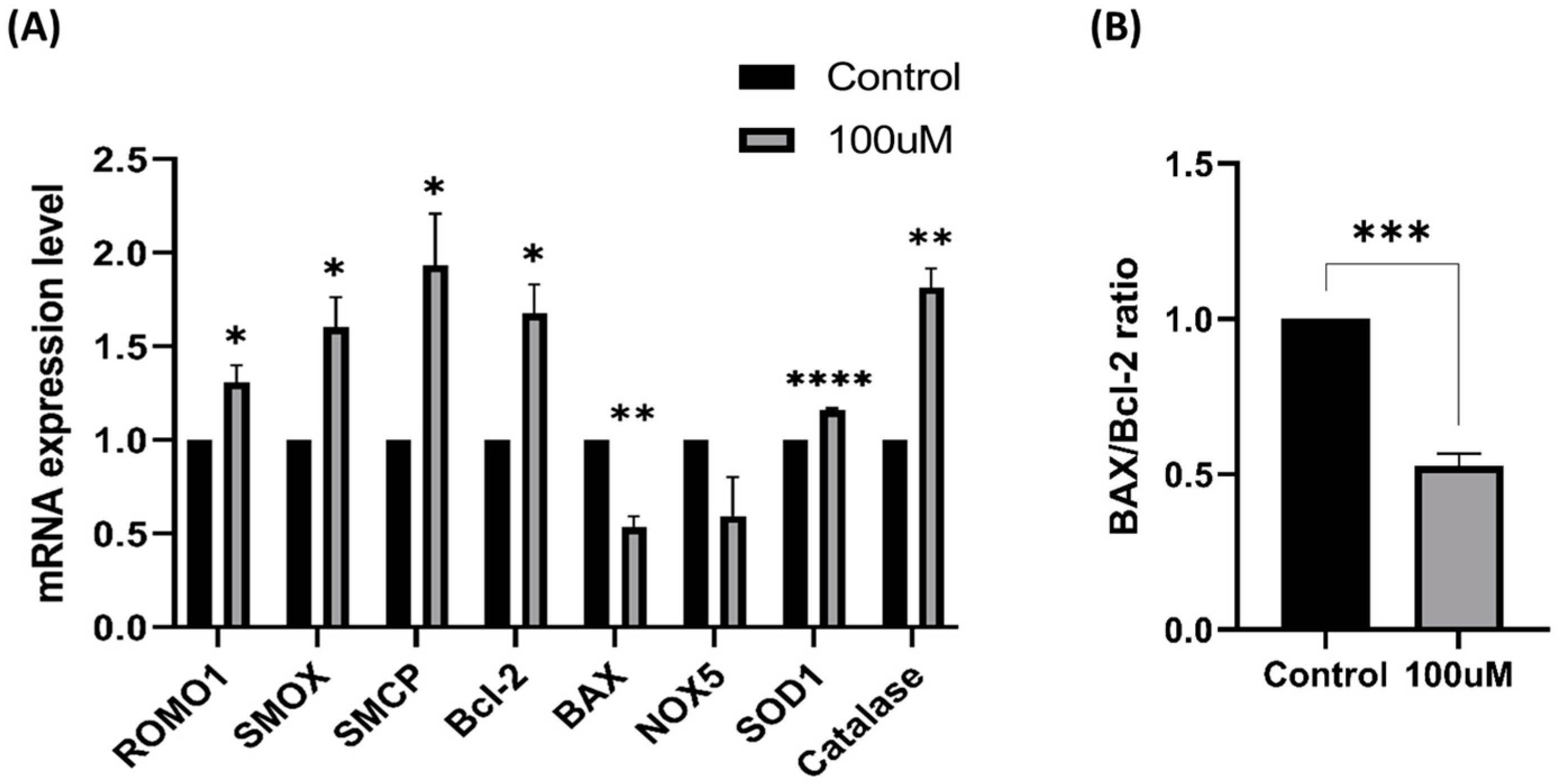 Antioxidants 13 00672 g010