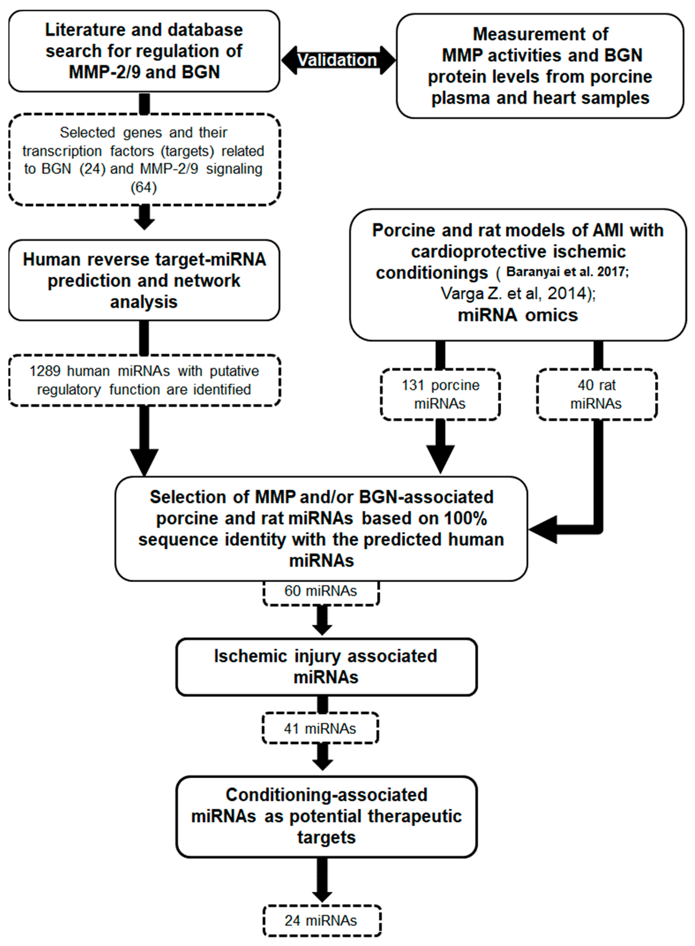 Antioxidants 13 00674 g002