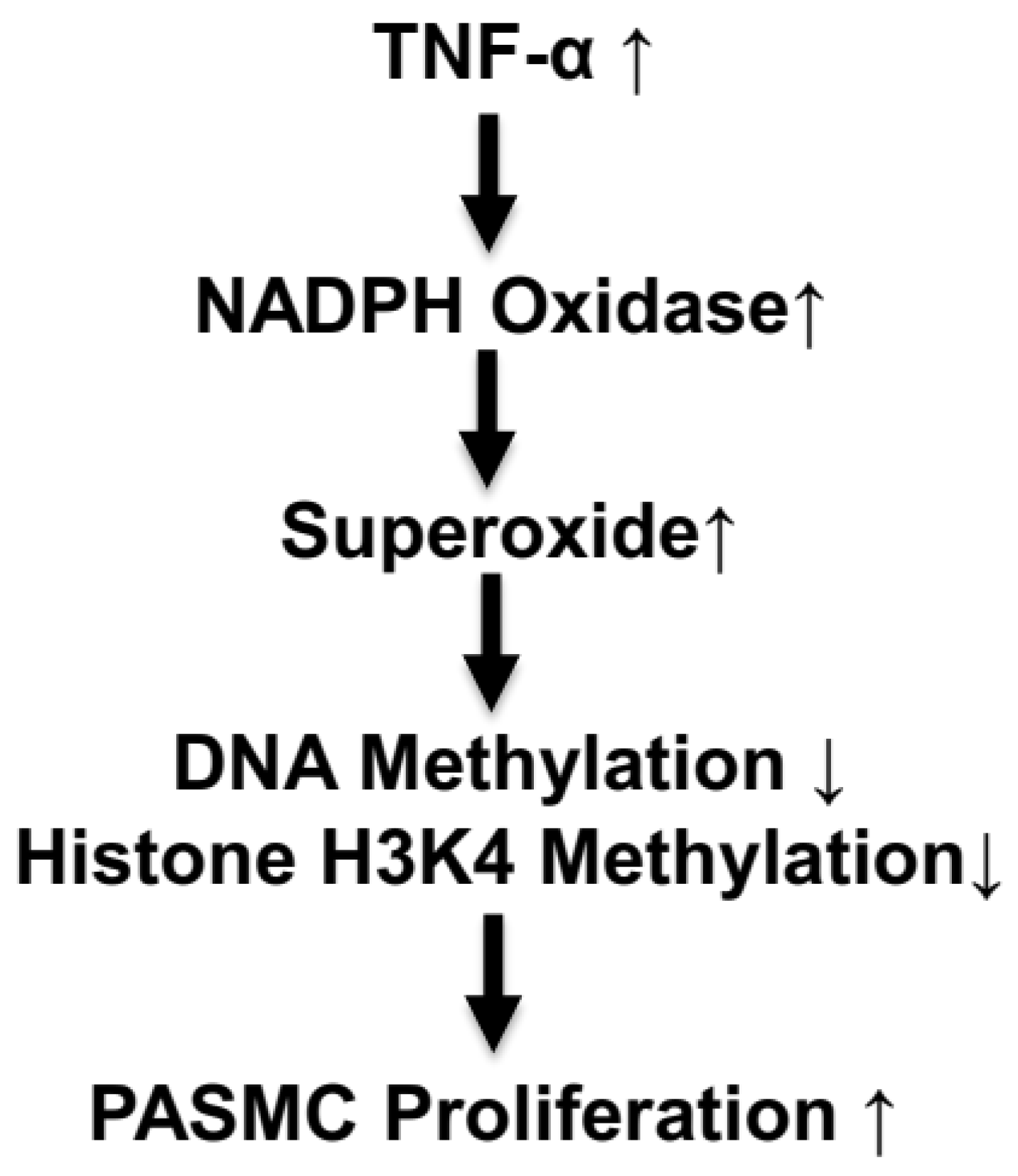 Antioxidants 13 00677 g007