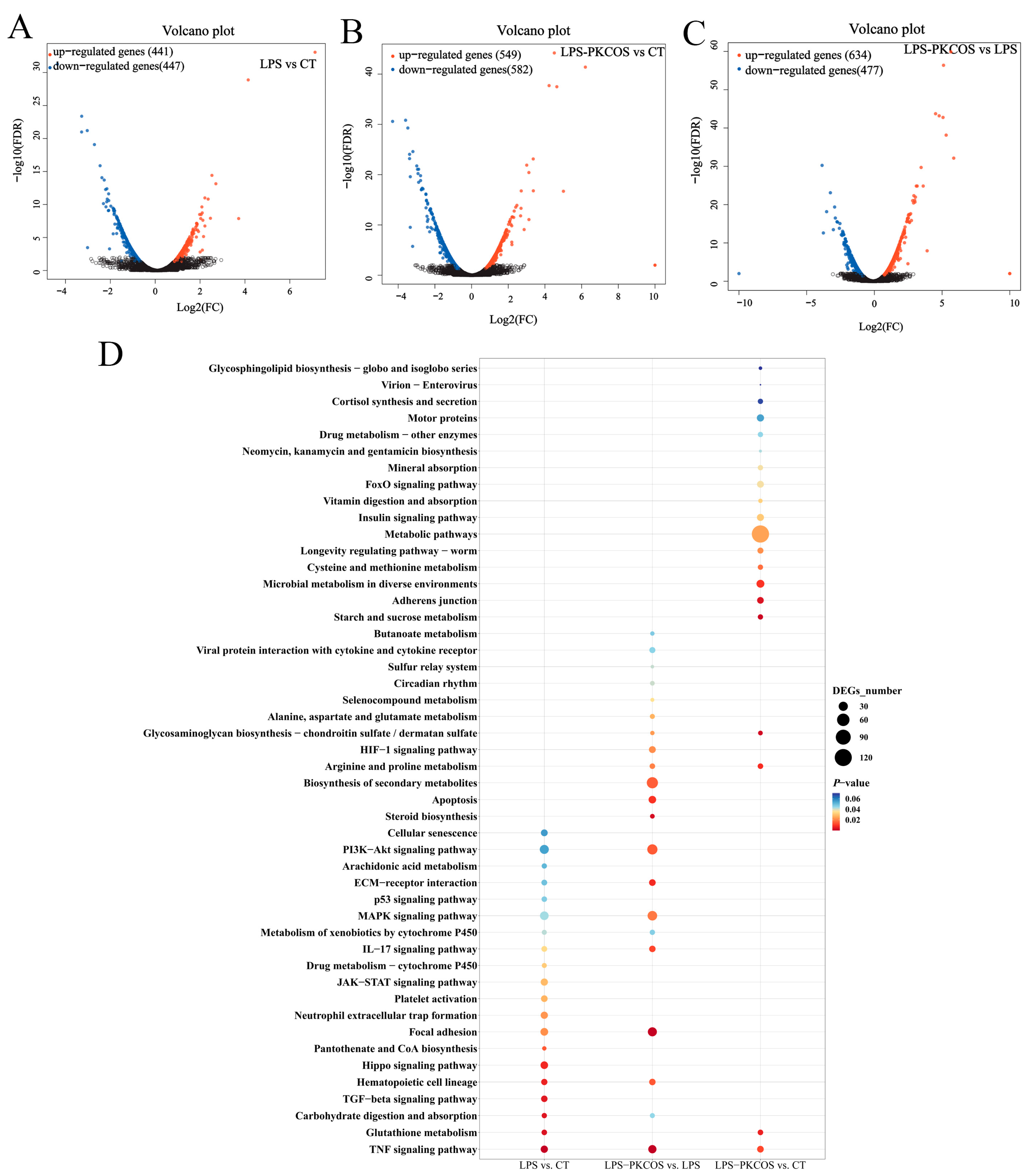 Antioxidants 13 00682 g004