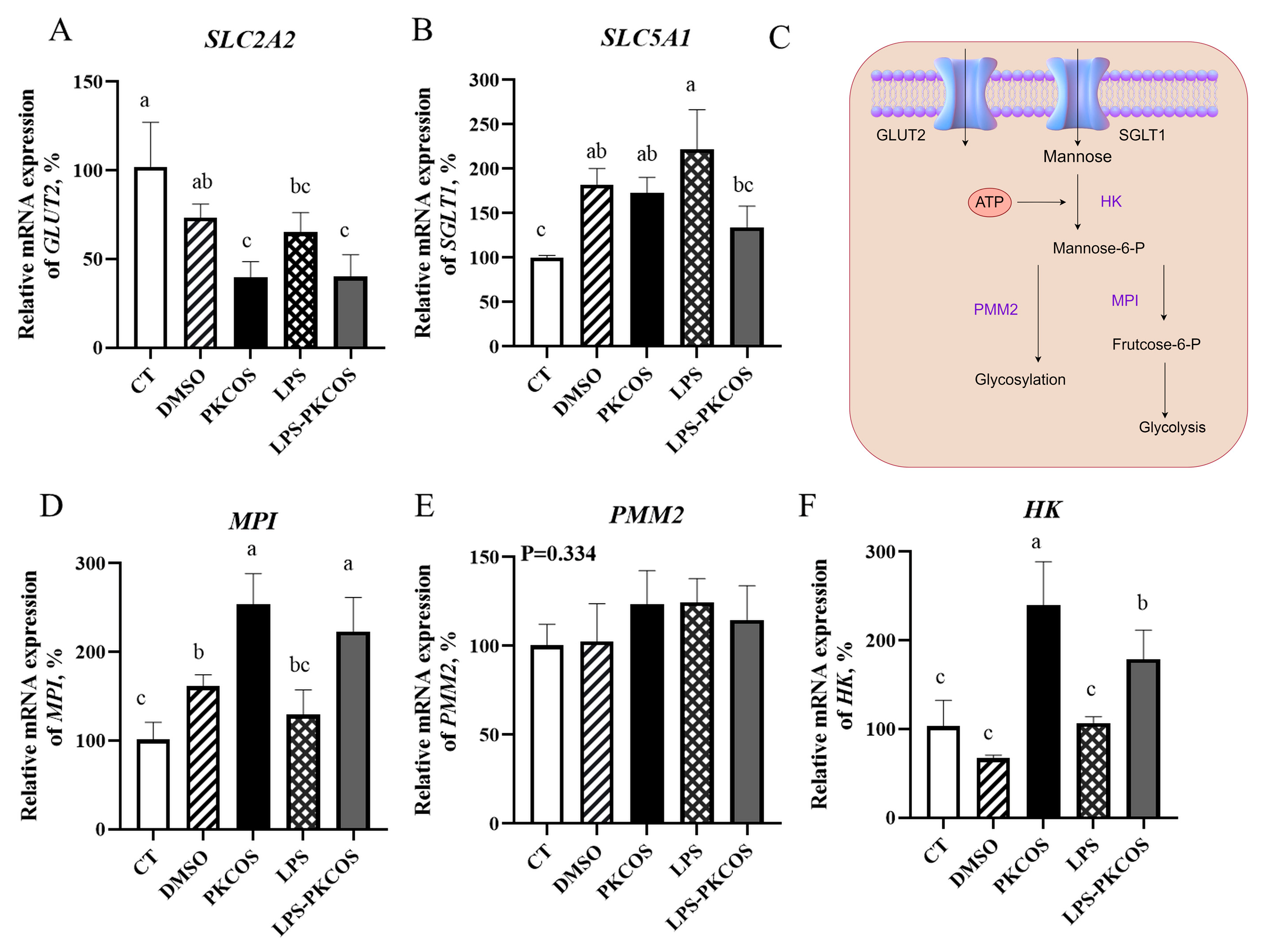 Antioxidants 13 00682 g006