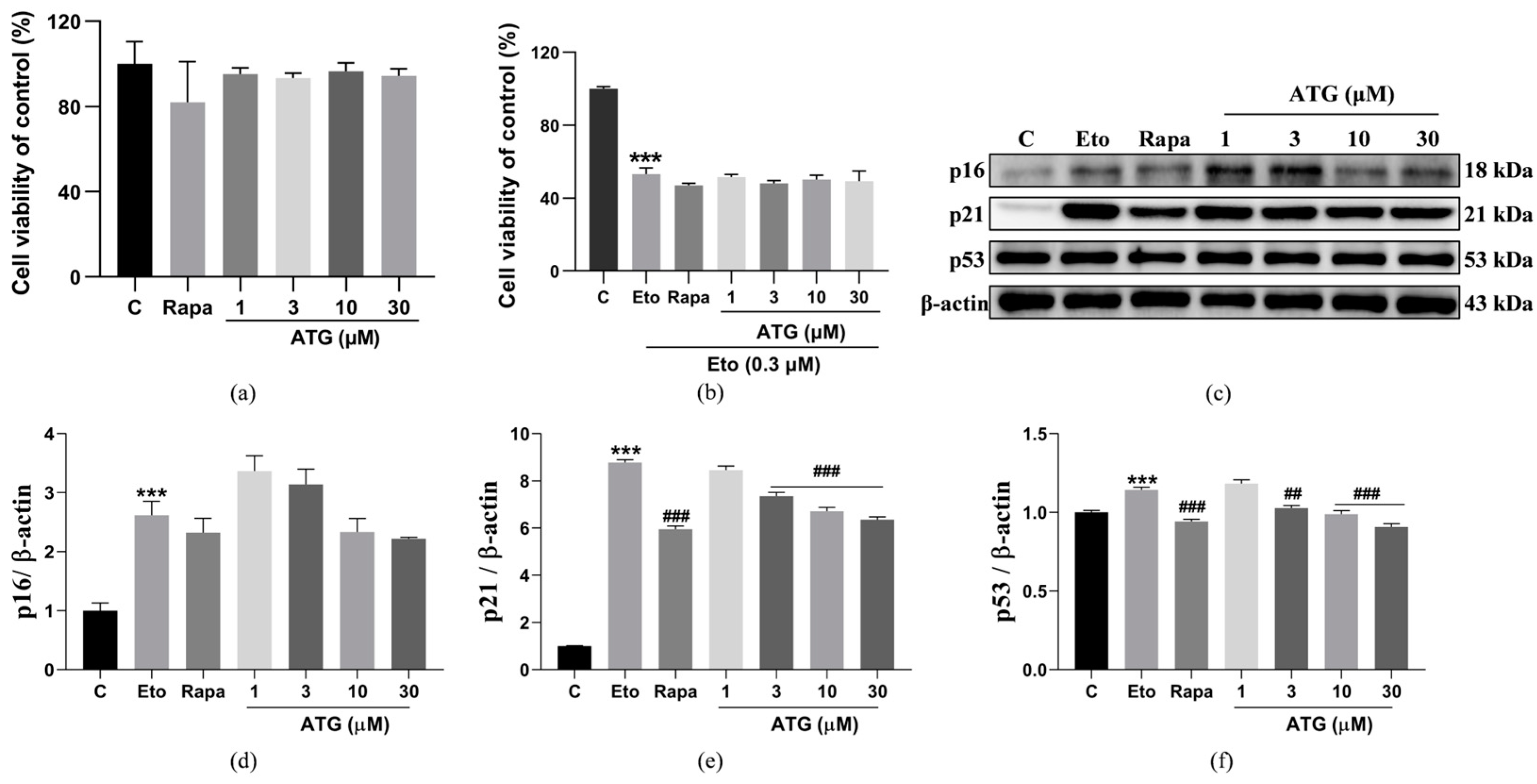 Antioxidants 13 00684 g002