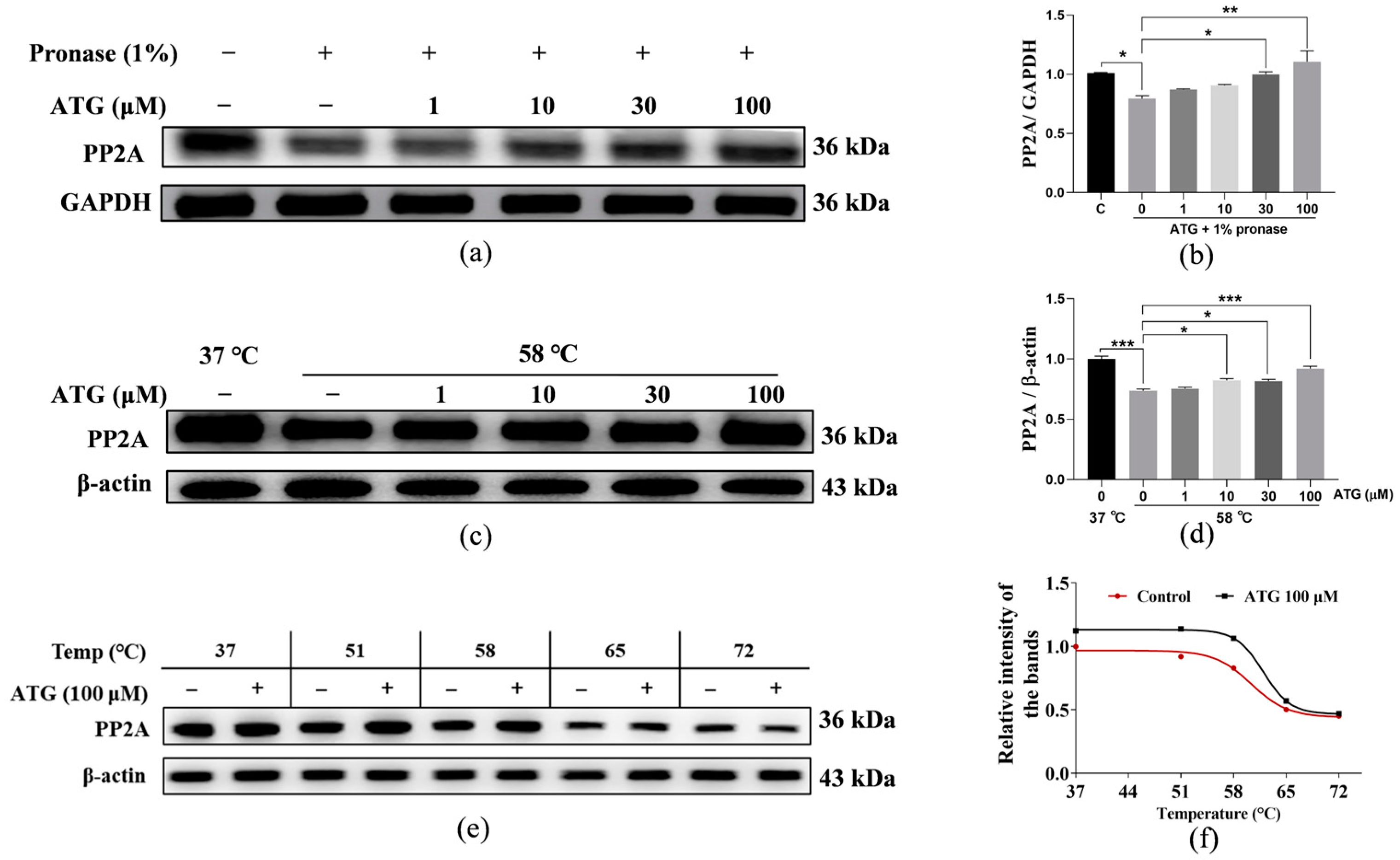 Antioxidants 13 00684 g005