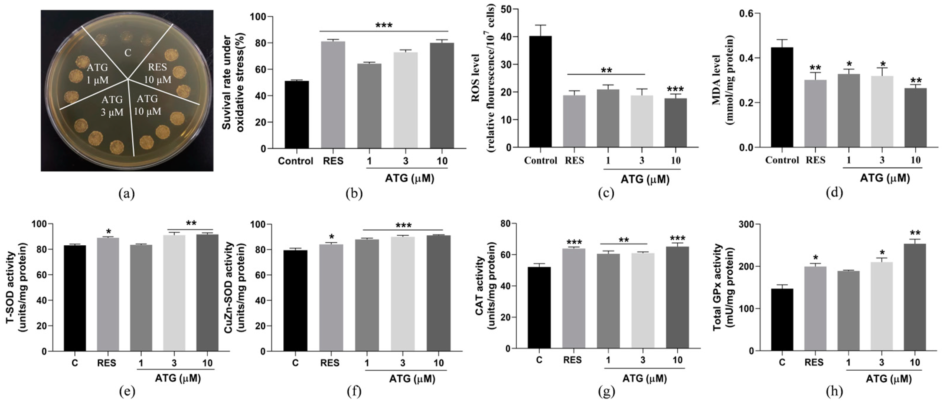 Antioxidants 13 00684 g006