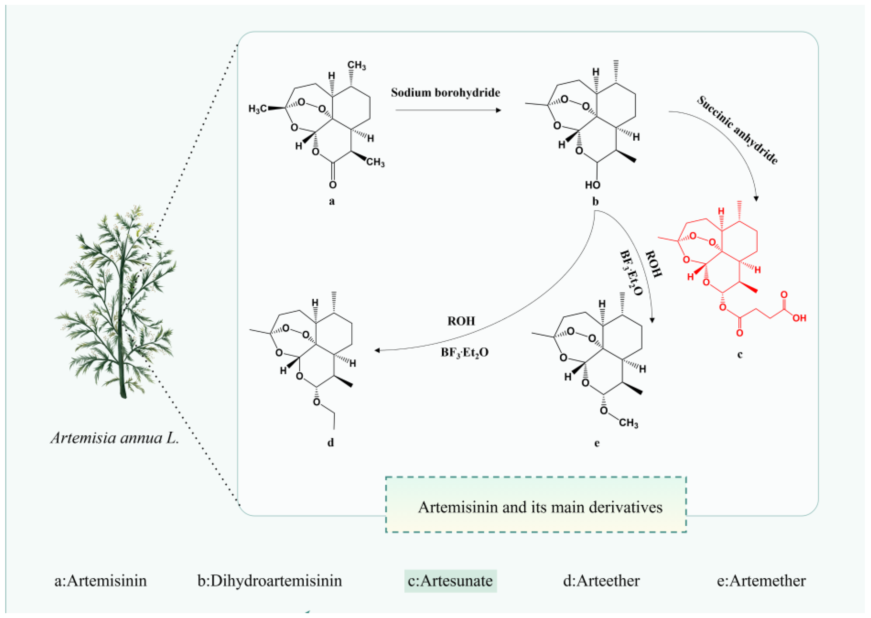 Antioxidants 13 00686 g001