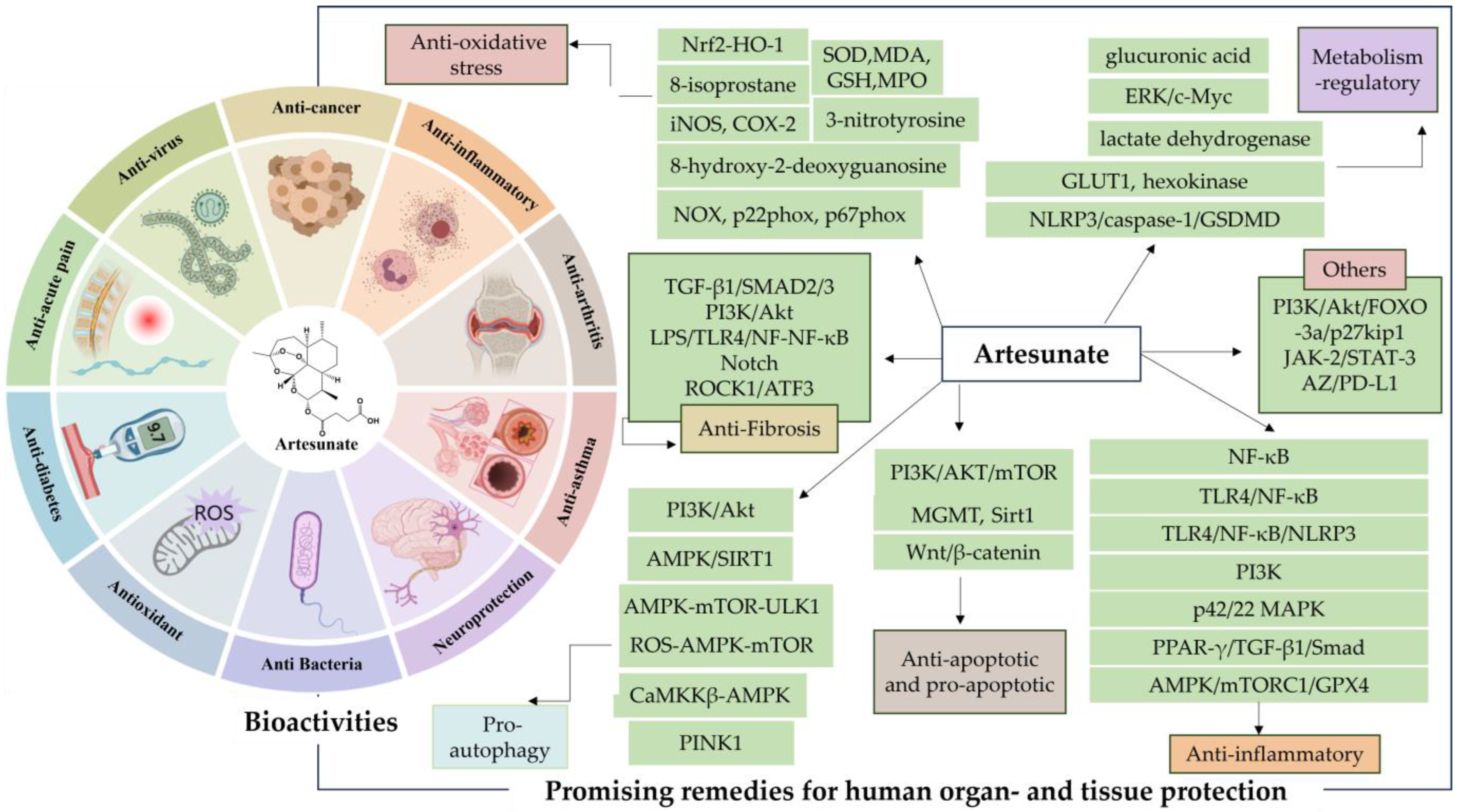 Antioxidants 13 00686 g002