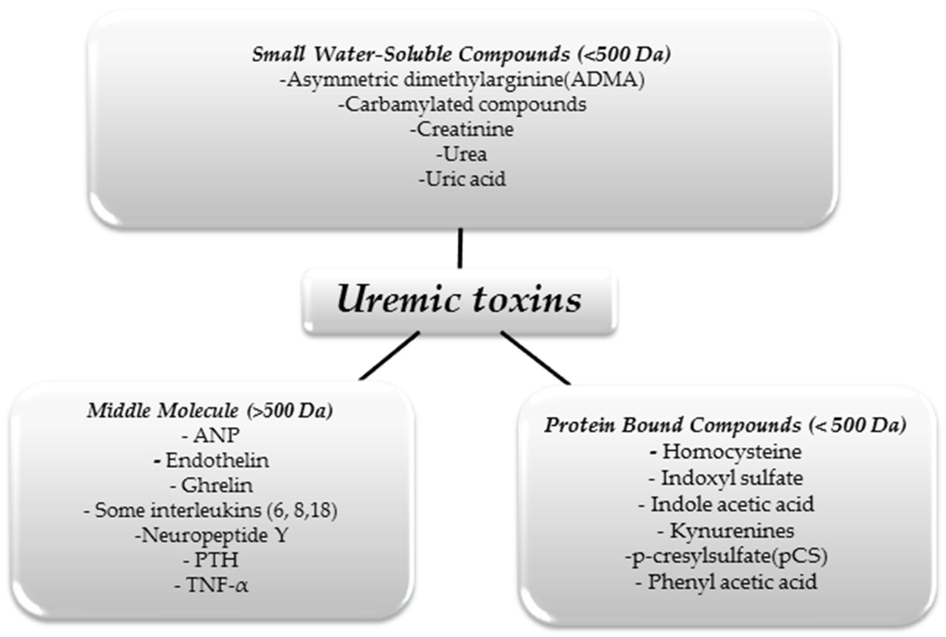 Antioxidants 13 00687 g001