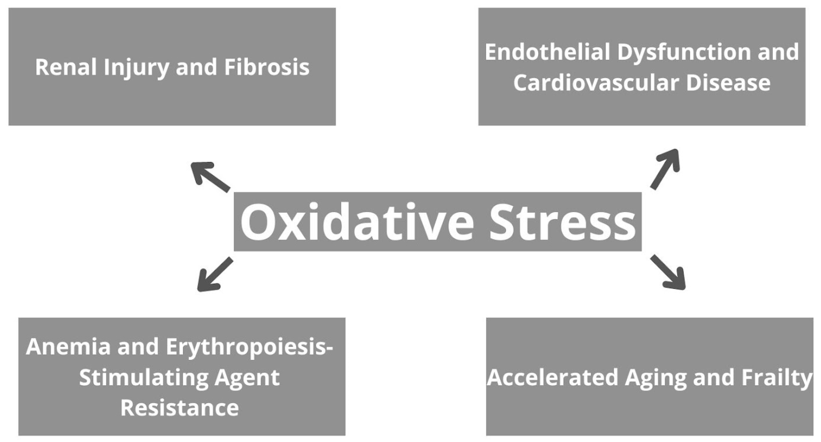 Antioxidants 13 00687 g002