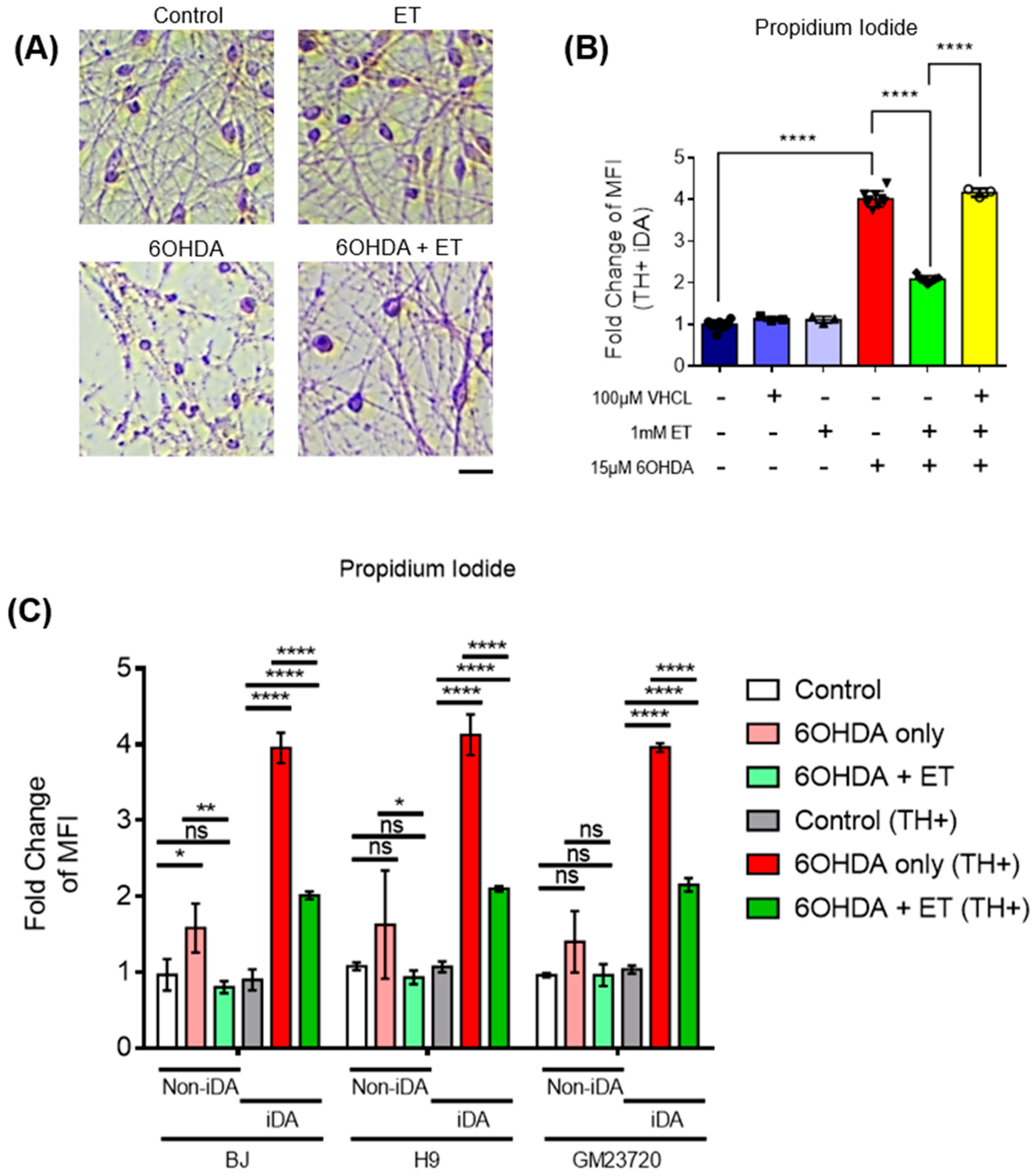 Antioxidants 13 00693 g003