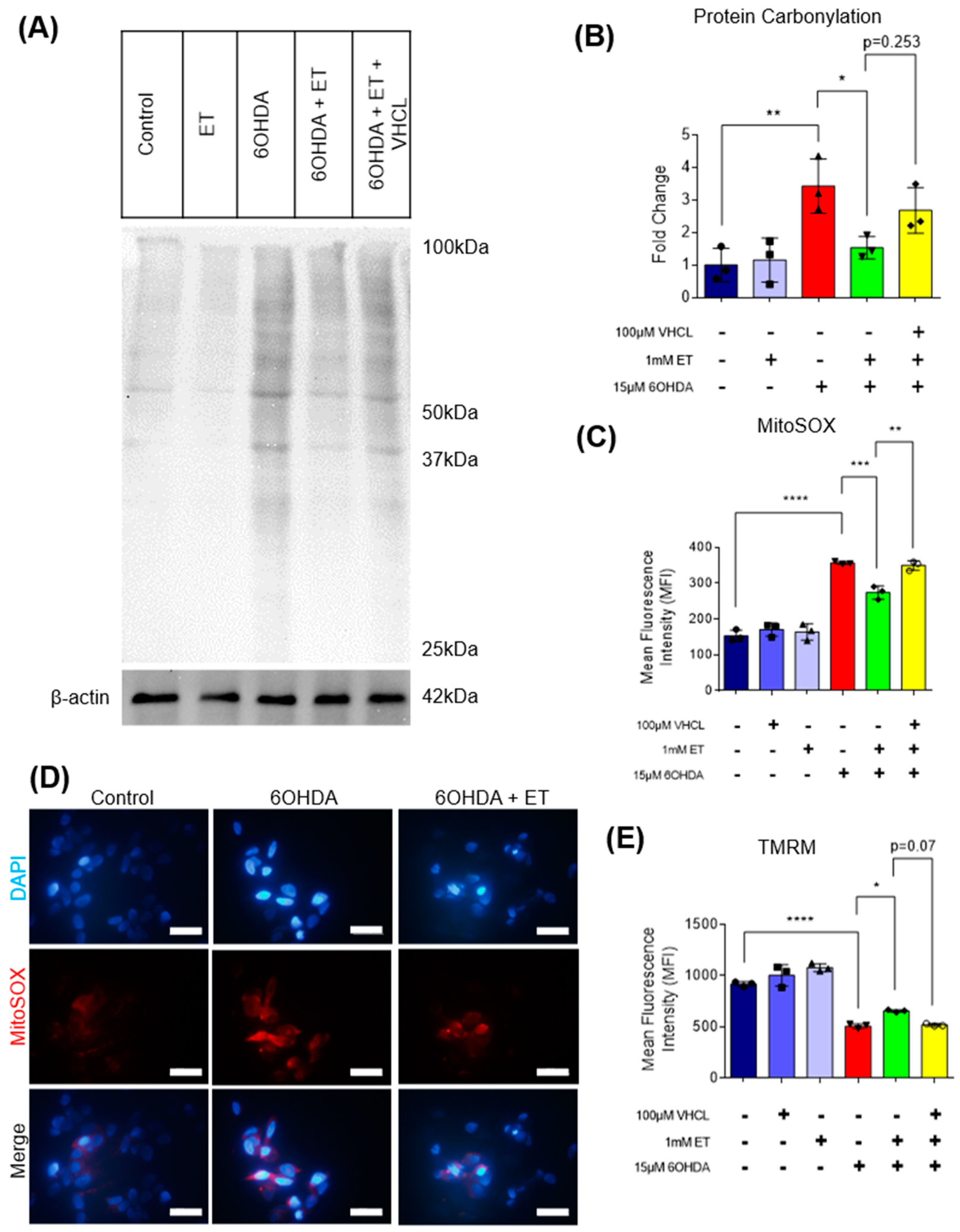 Antioxidants 13 00693 g008