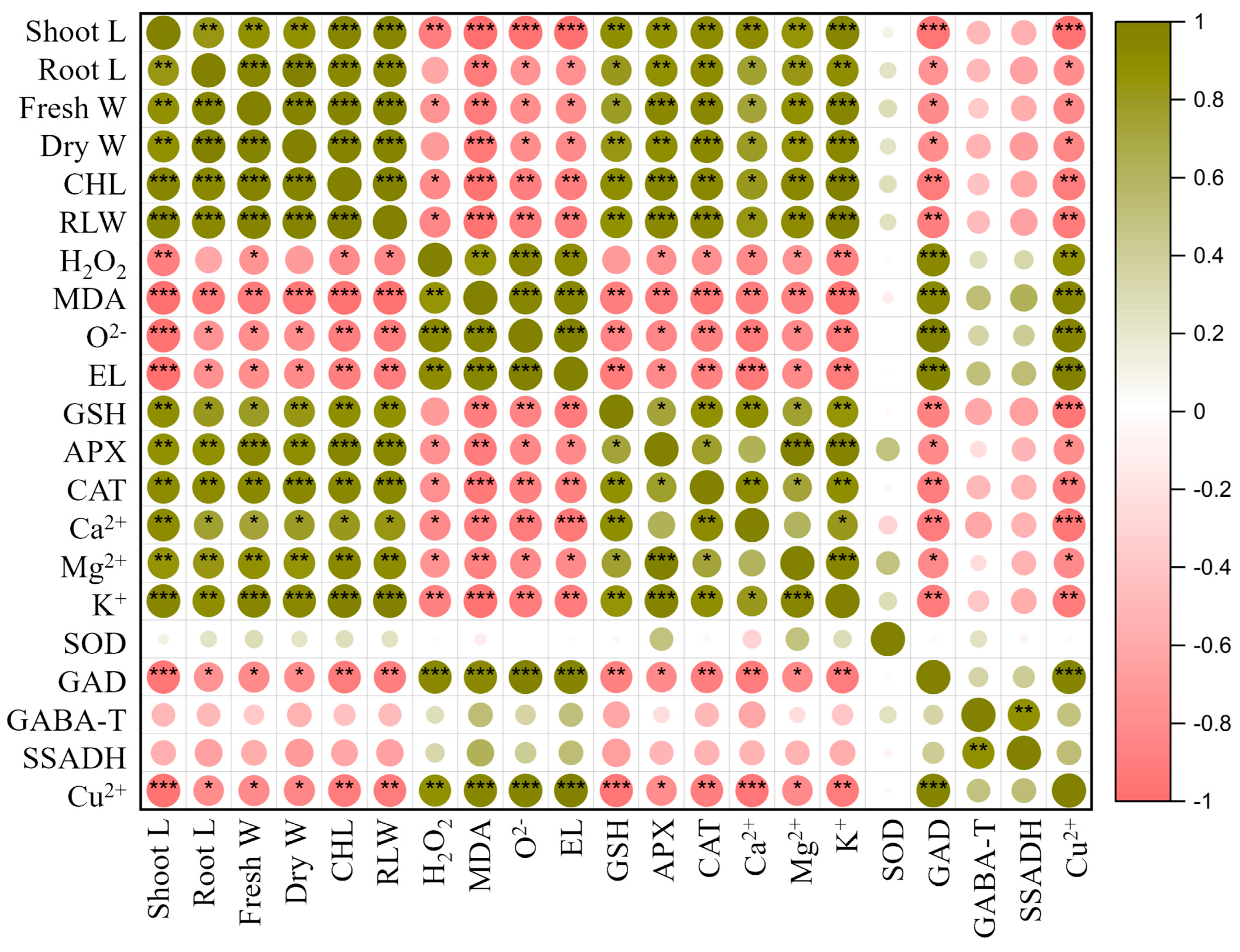 Antioxidants 13 00700 g007