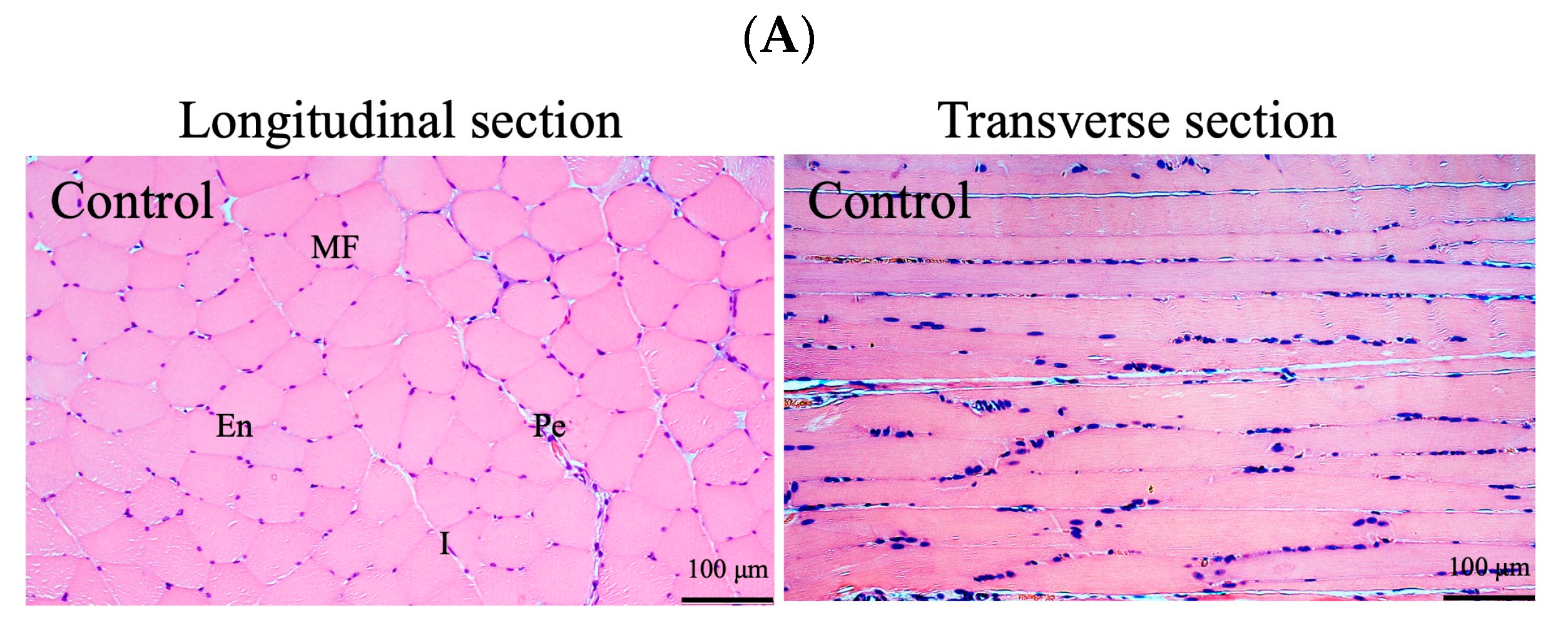 Antioxidants 13 00702 g004a