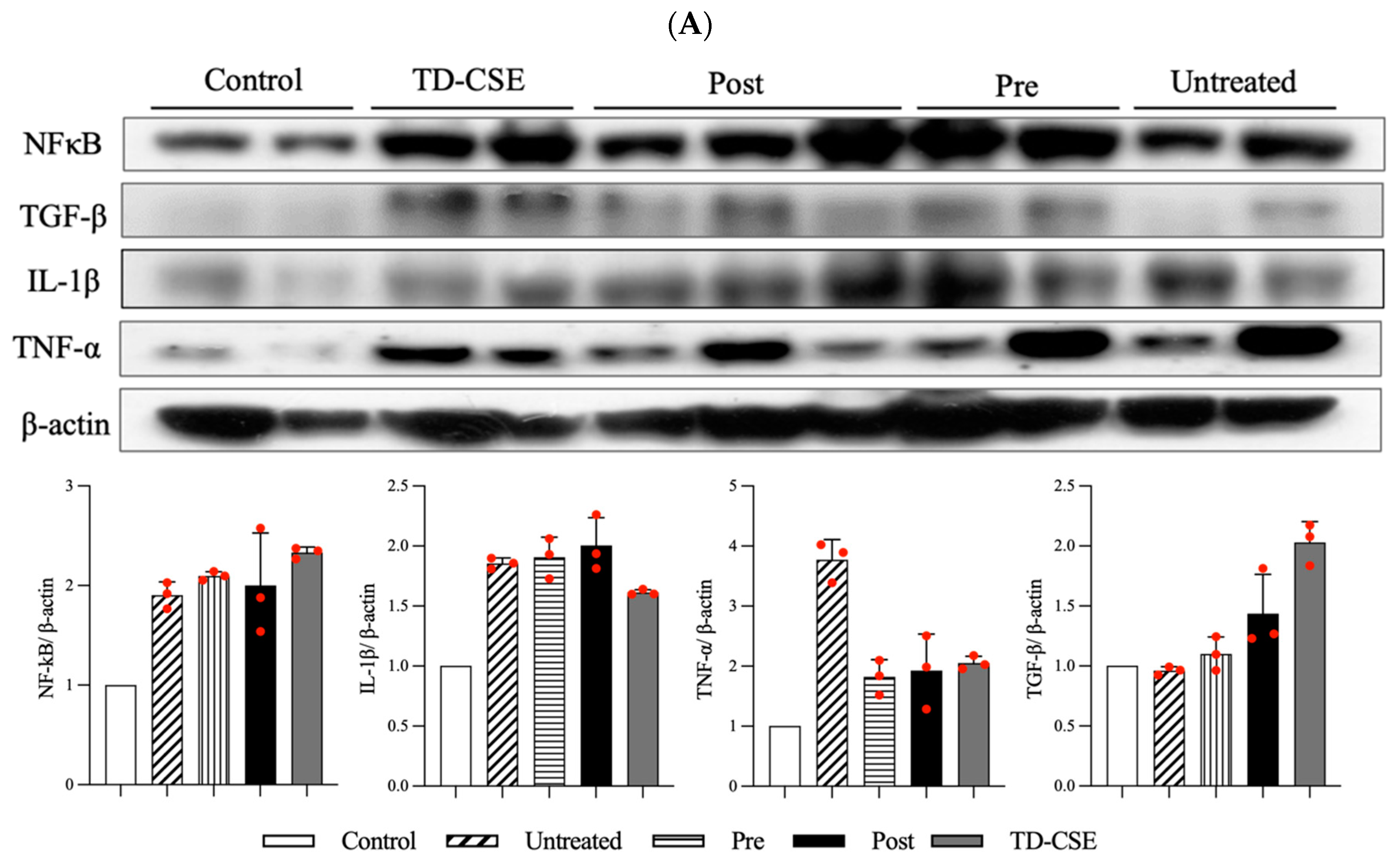 Antioxidants 13 00702 g005a