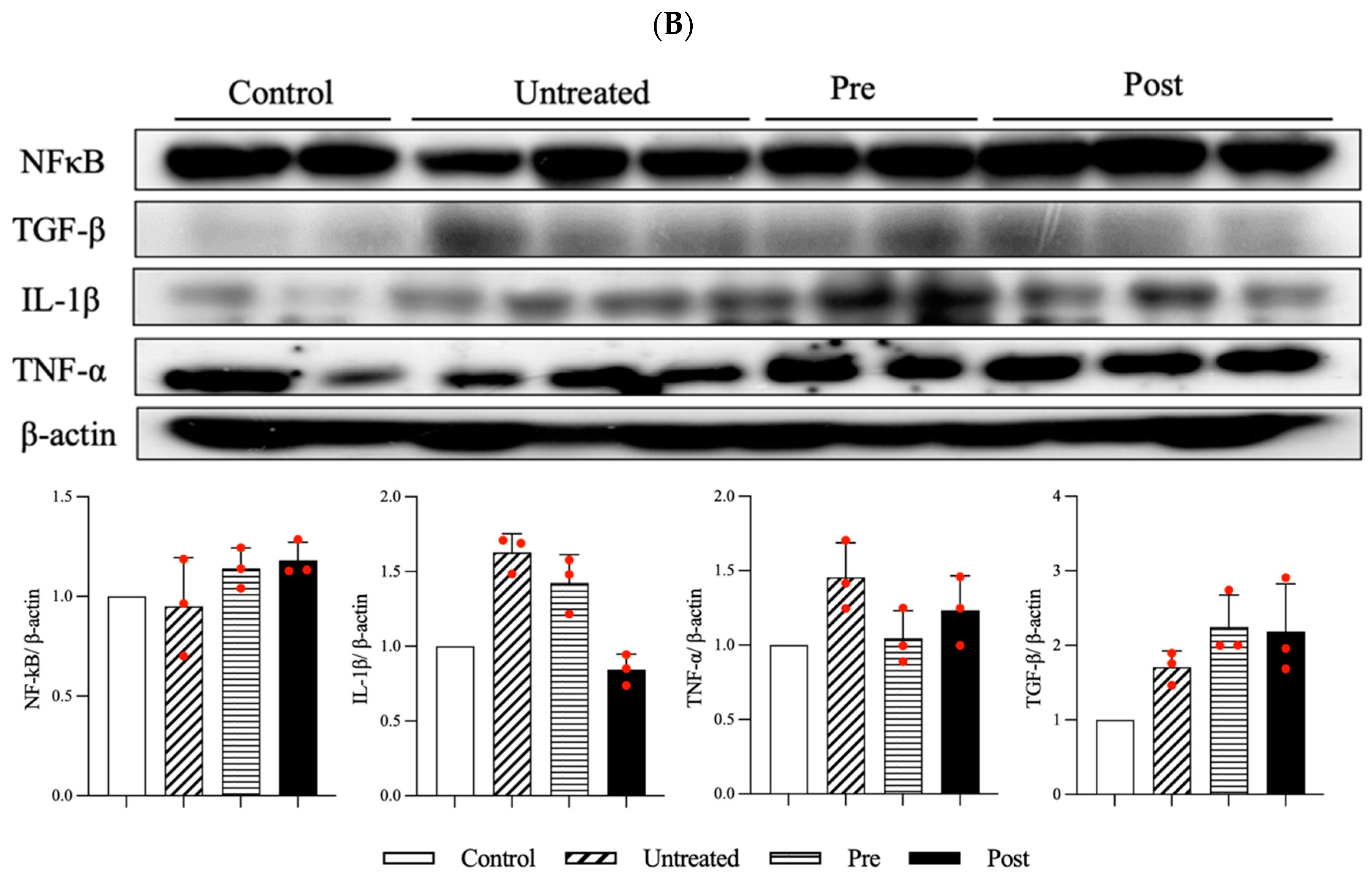Antioxidants 13 00702 g005b