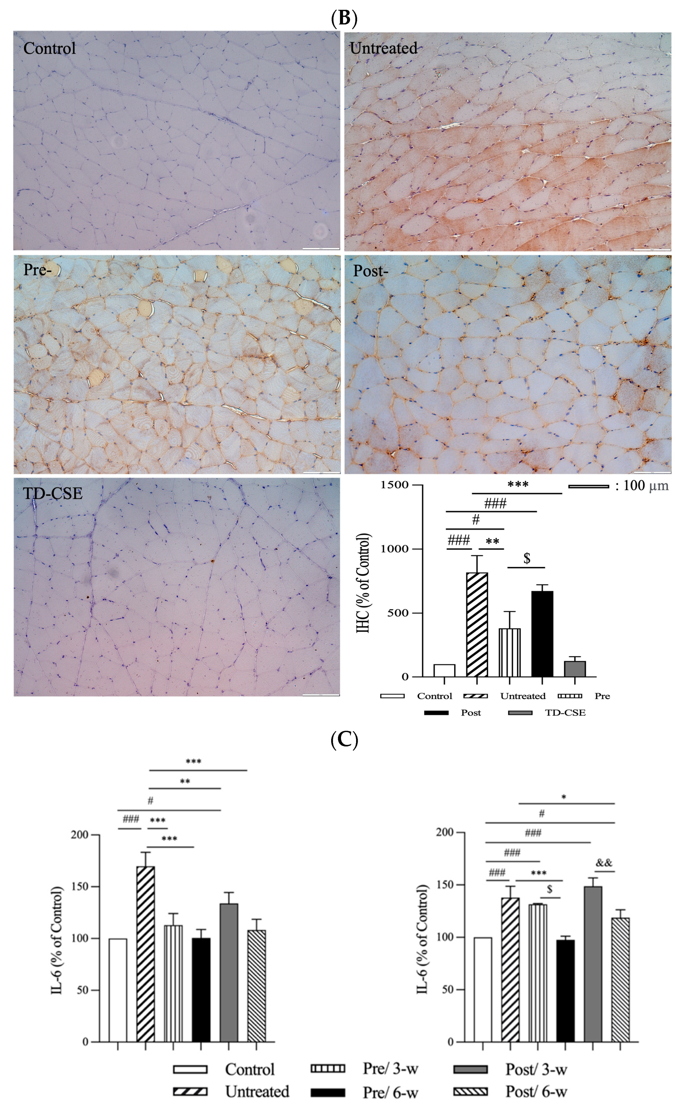 Antioxidants 13 00702 g006b