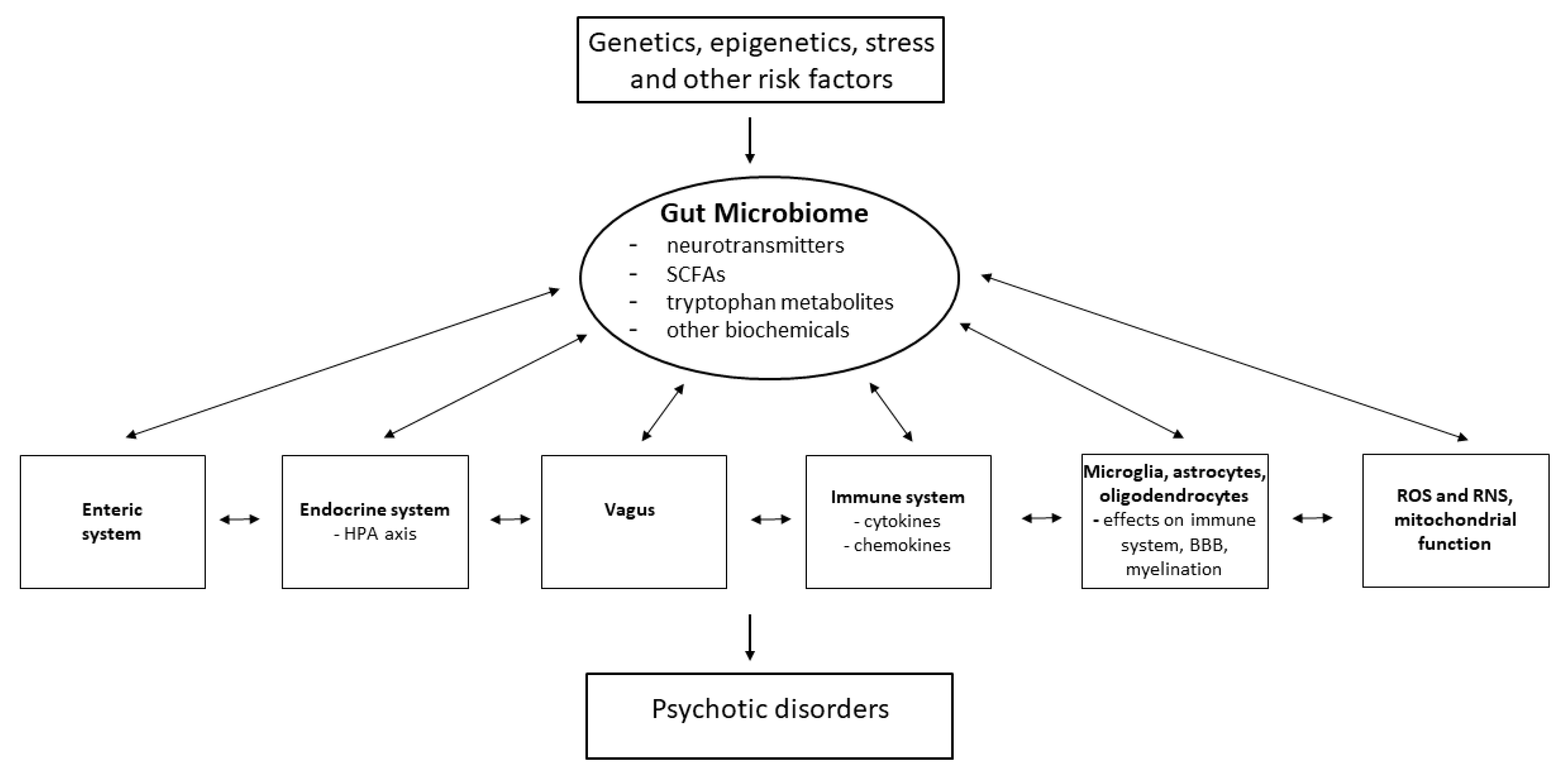 Antioxidants 13 00709 g002 Antioxidants 13 00709 g002