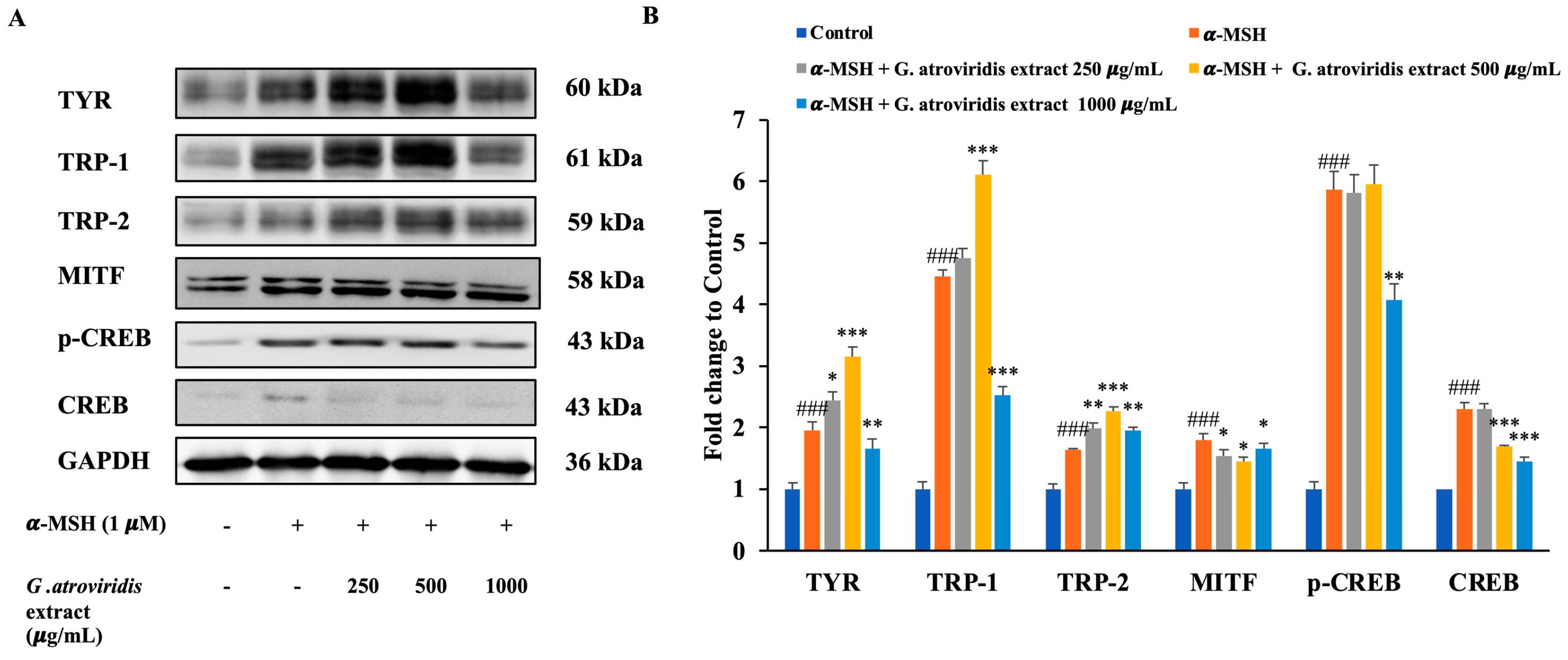 Antioxidants 13 00713 g004