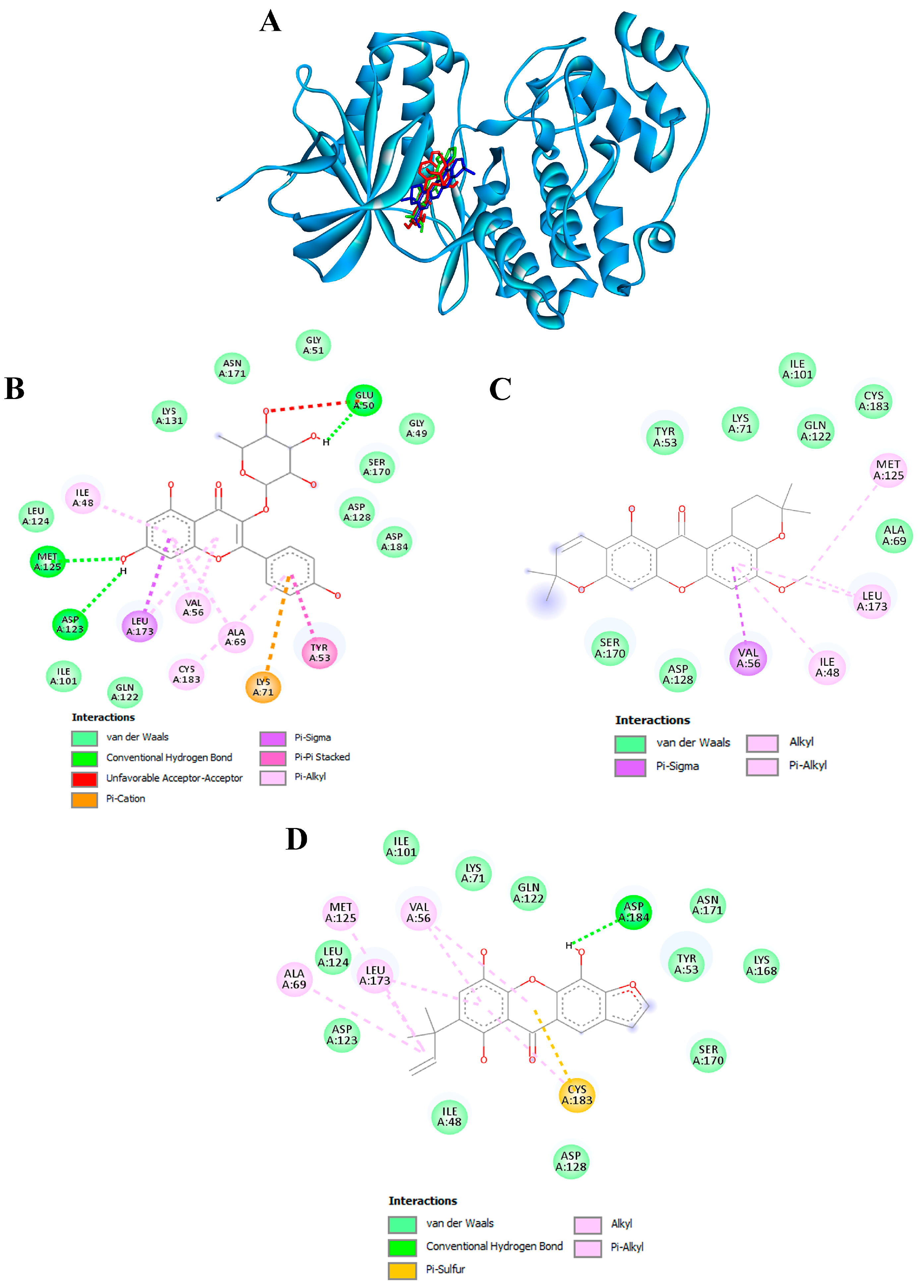 Antioxidants 13 00713 g009