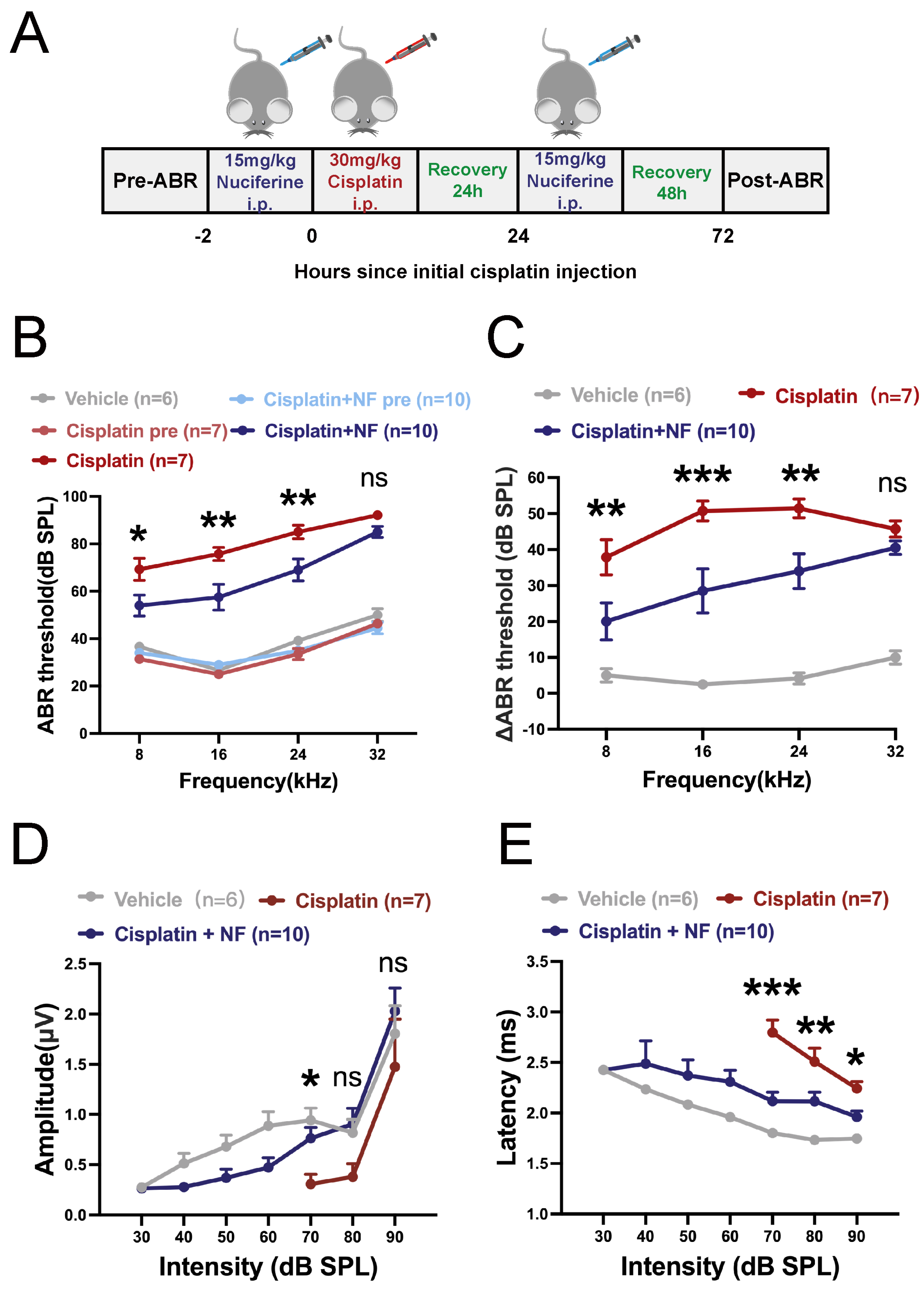 Antioxidants 13 00714 g007