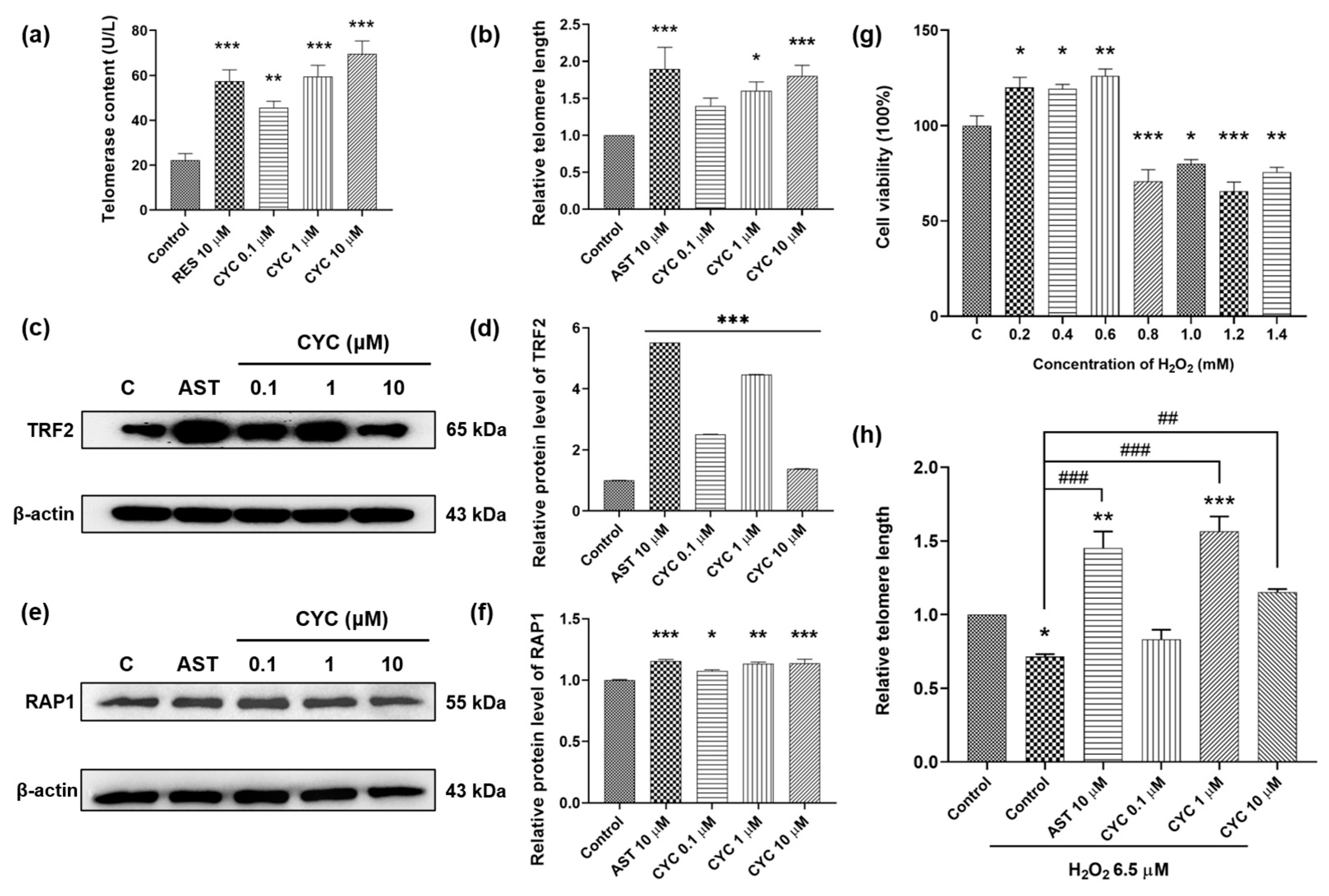 Antioxidants 13 00715 g002