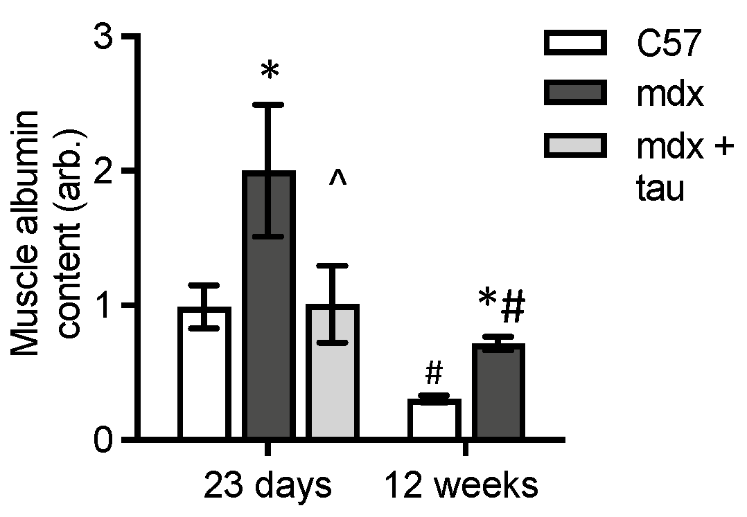 Antioxidants 13 00720 g004