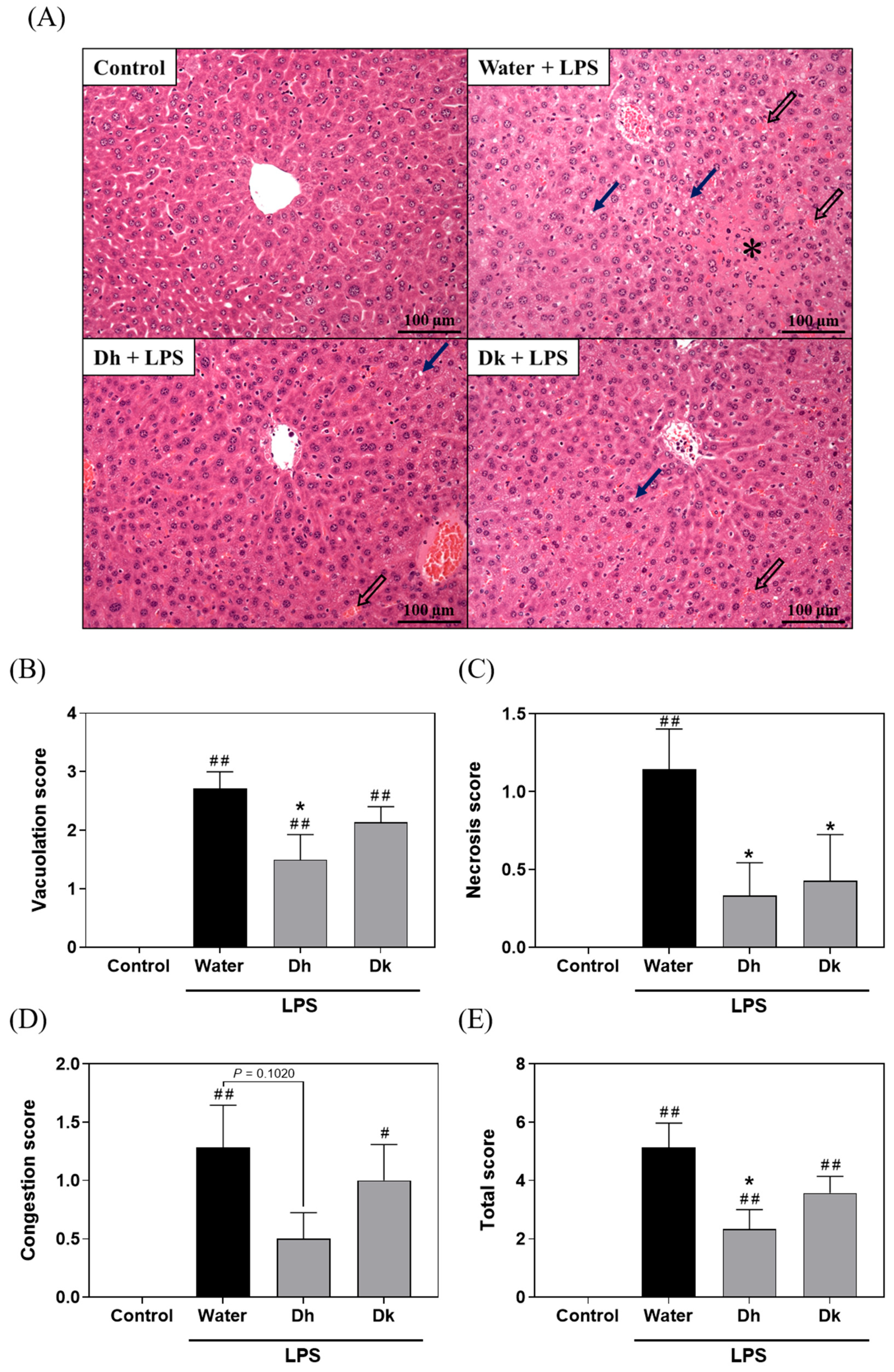 Antioxidants 13 00721 g004