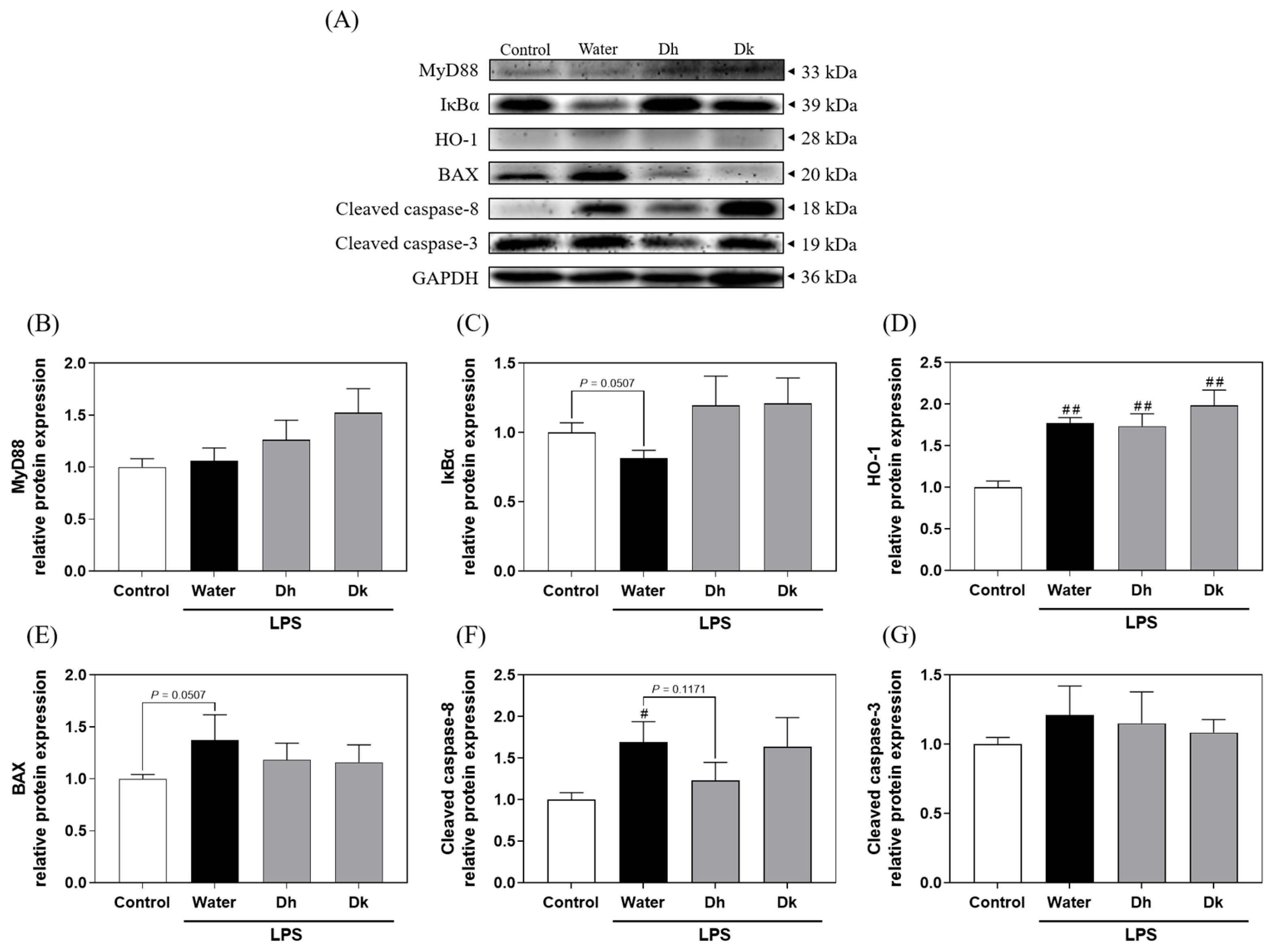 Antioxidants 13 00721 g007