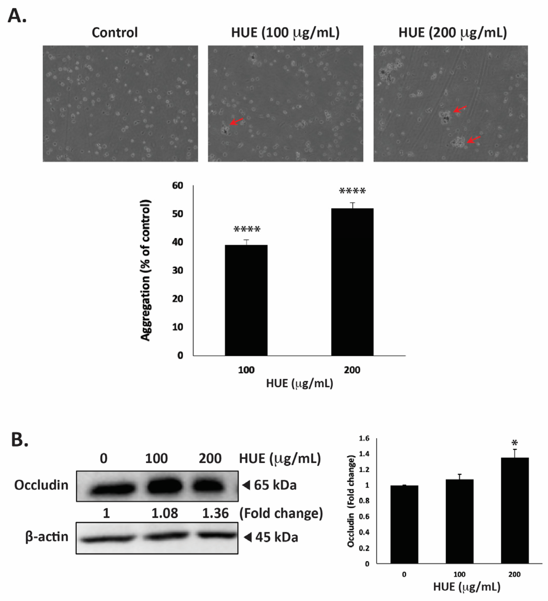 Antioxidants 13 00726 g009