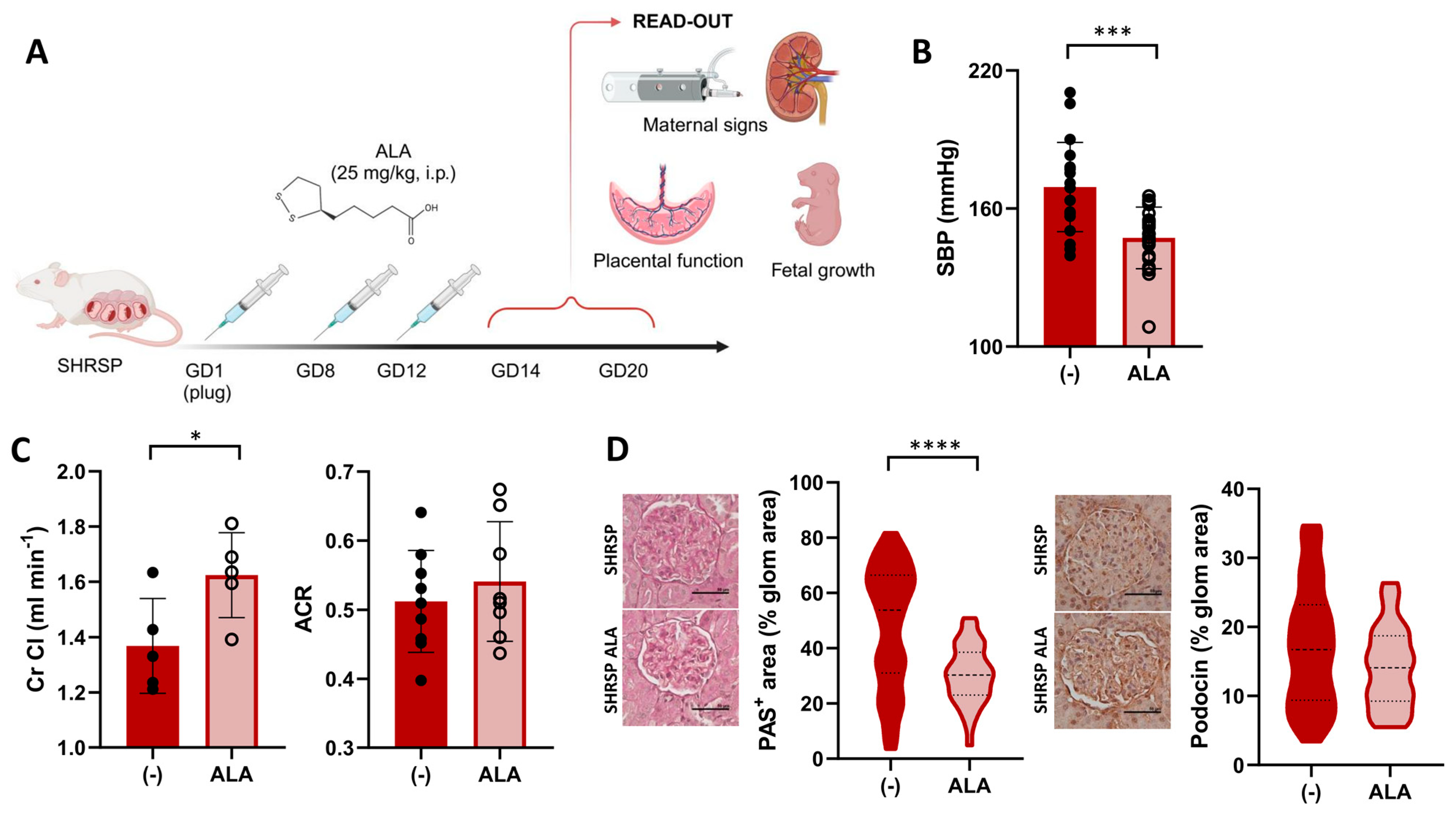 Antioxidants 13 00730 g001 Antioxidants 13 00730 g001