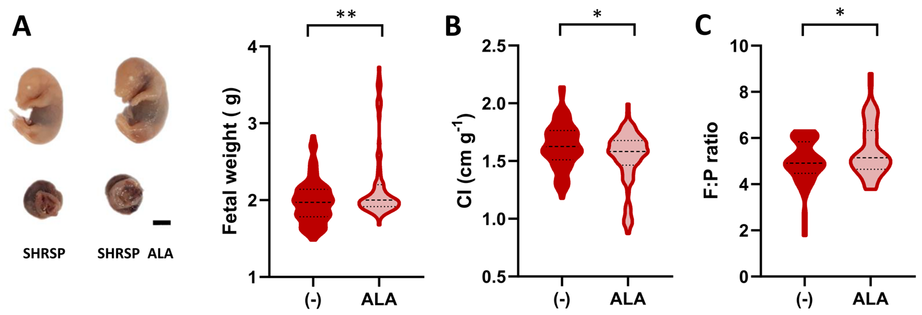 Antioxidants 13 00730 g002 Antioxidants 13 00730 g002