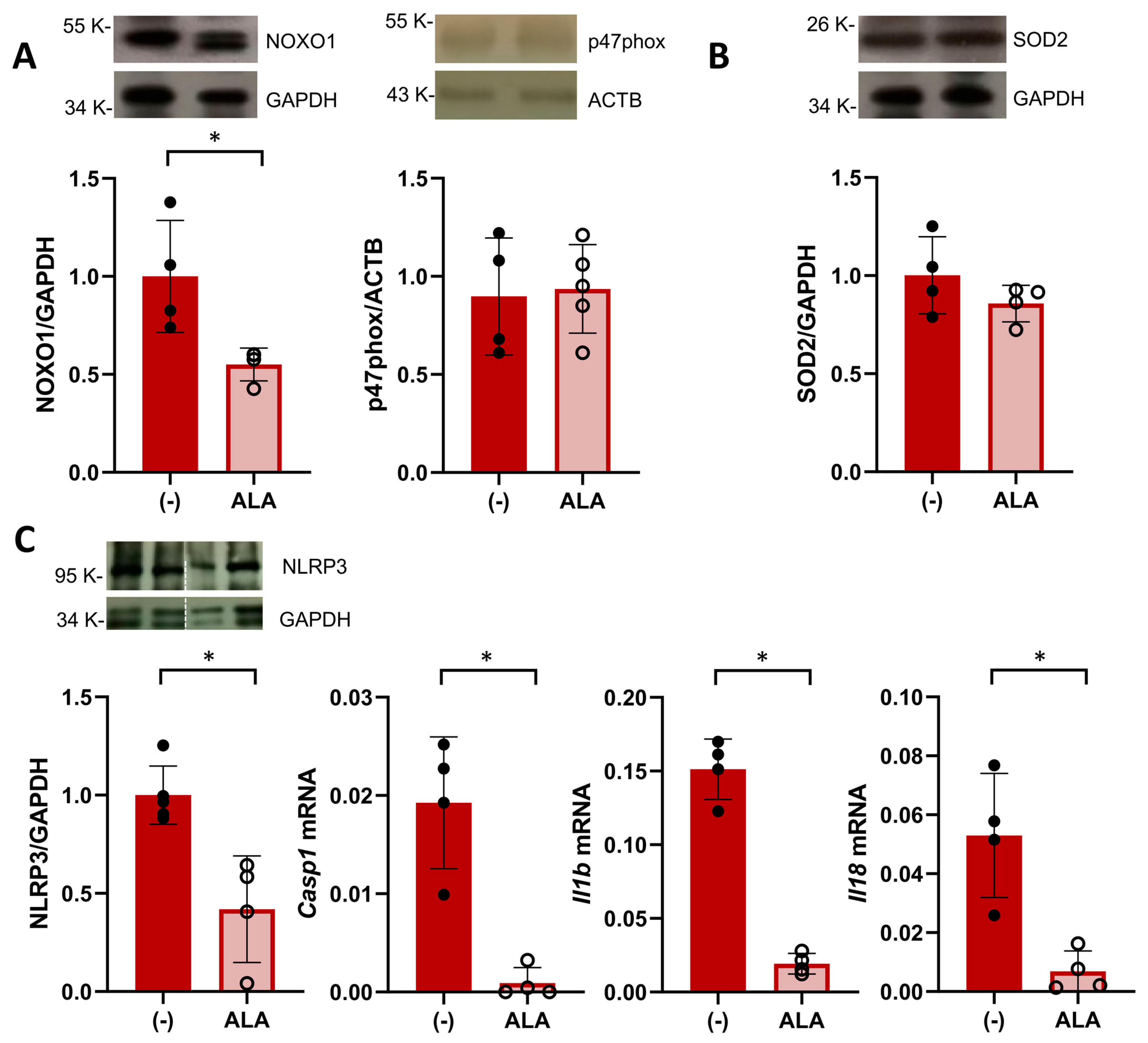 Antioxidants 13 00730 g003 Antioxidants 13 00730 g003