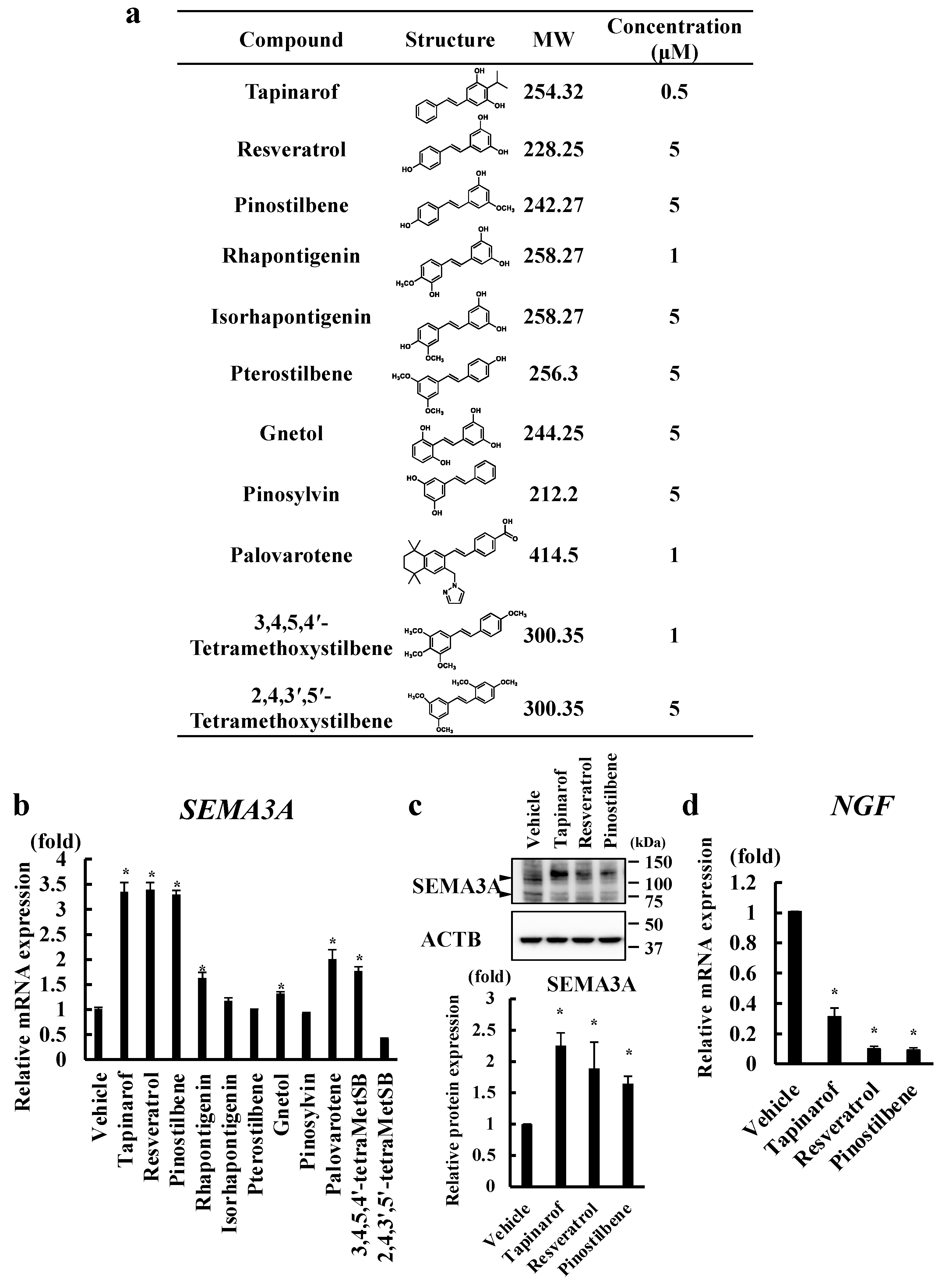 Antioxidants 13 00732 g001