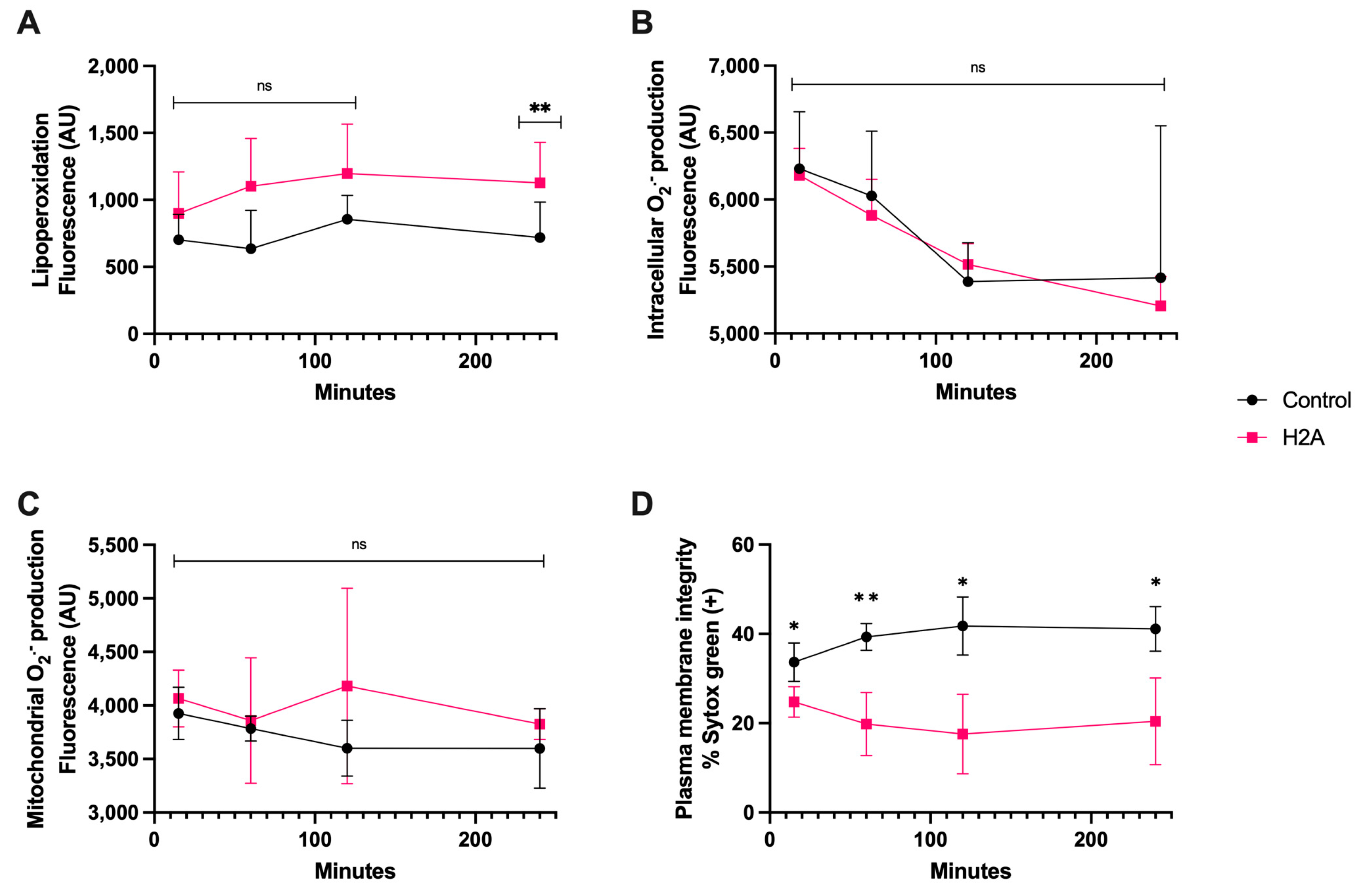 Antioxidants 13 00733 g004