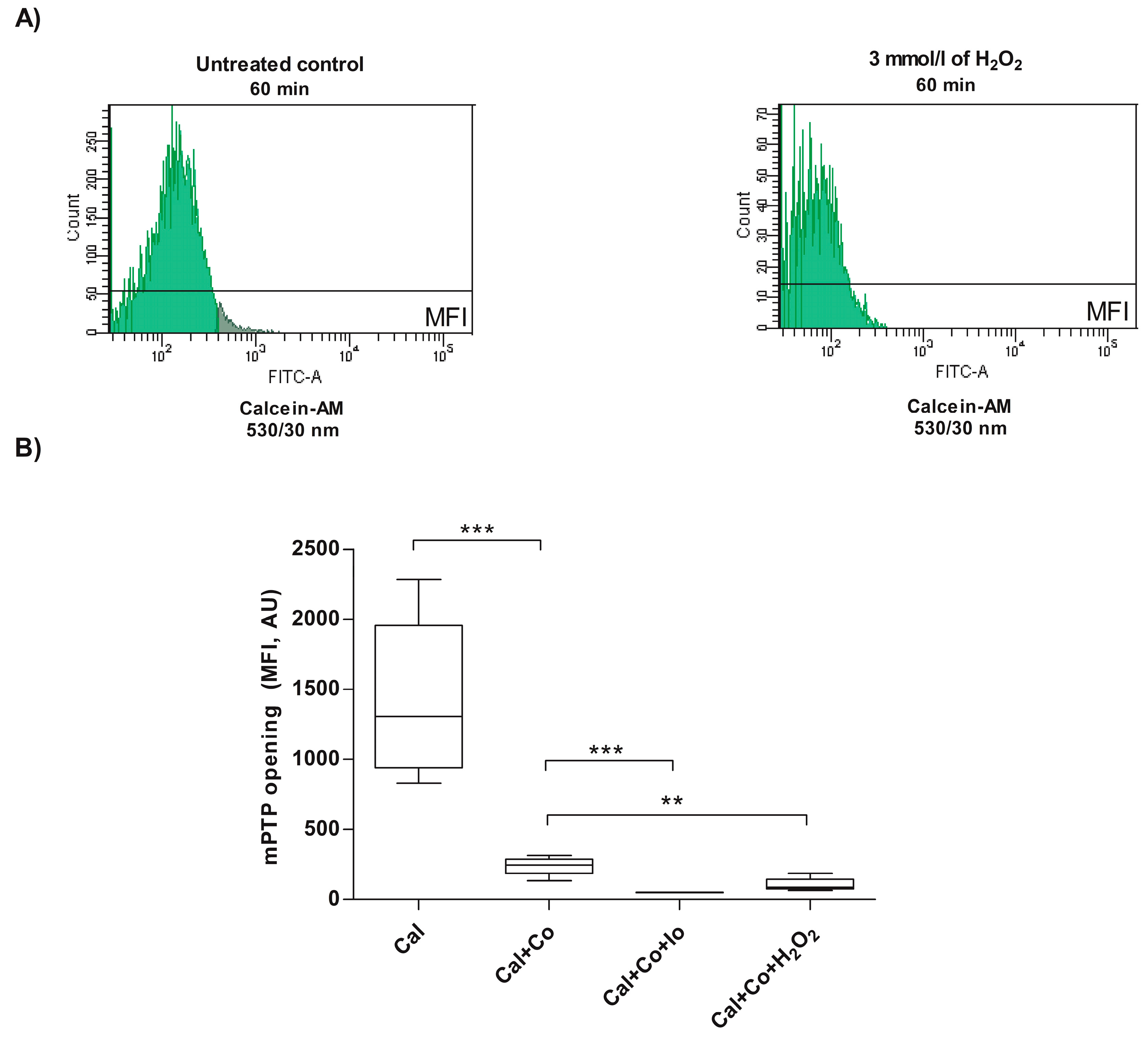 Antioxidants 13 00739 g002 Antioxidants 13 00739 g002