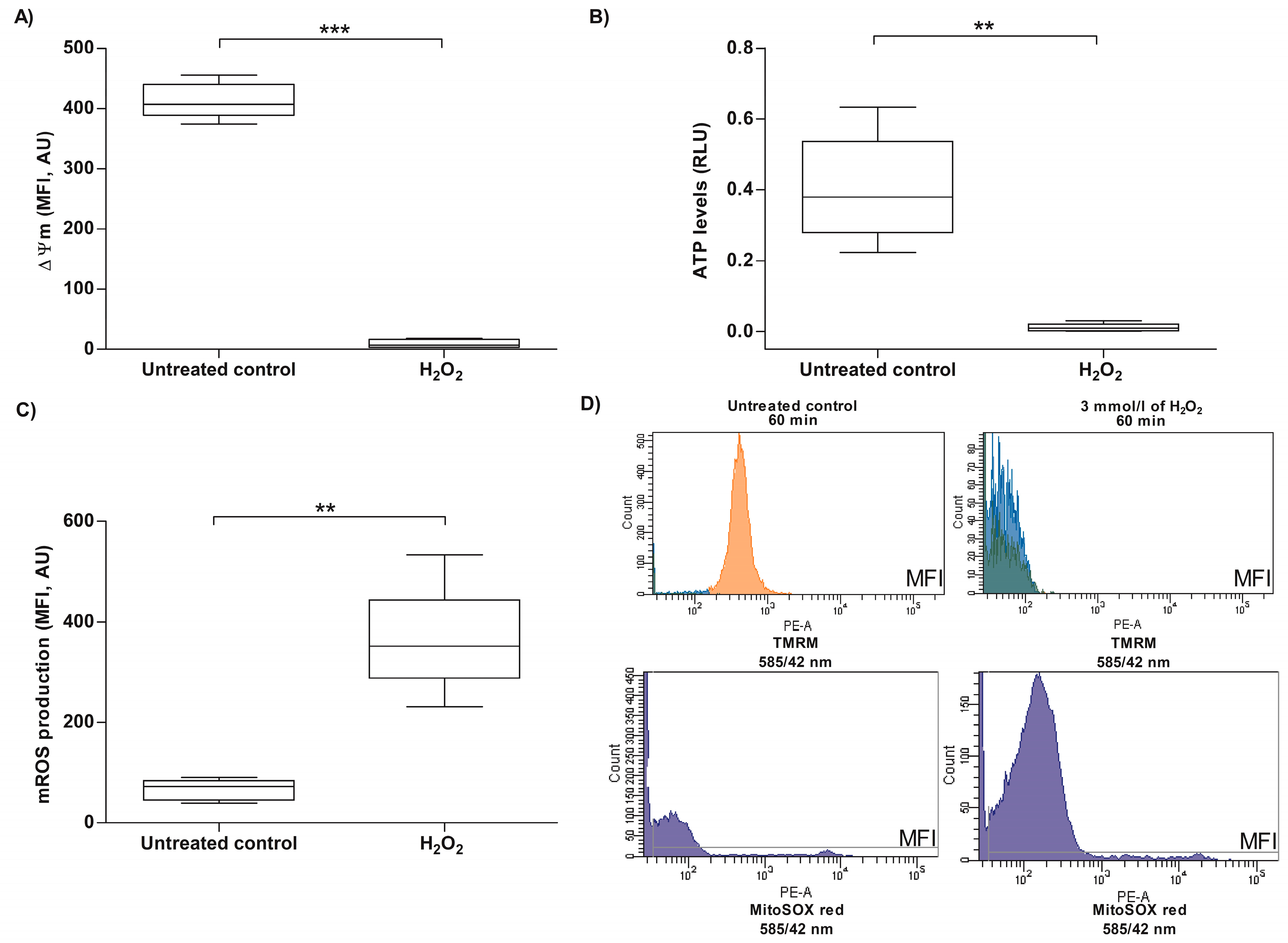 Antioxidants 13 00739 g004 Antioxidants 13 00739 g004
