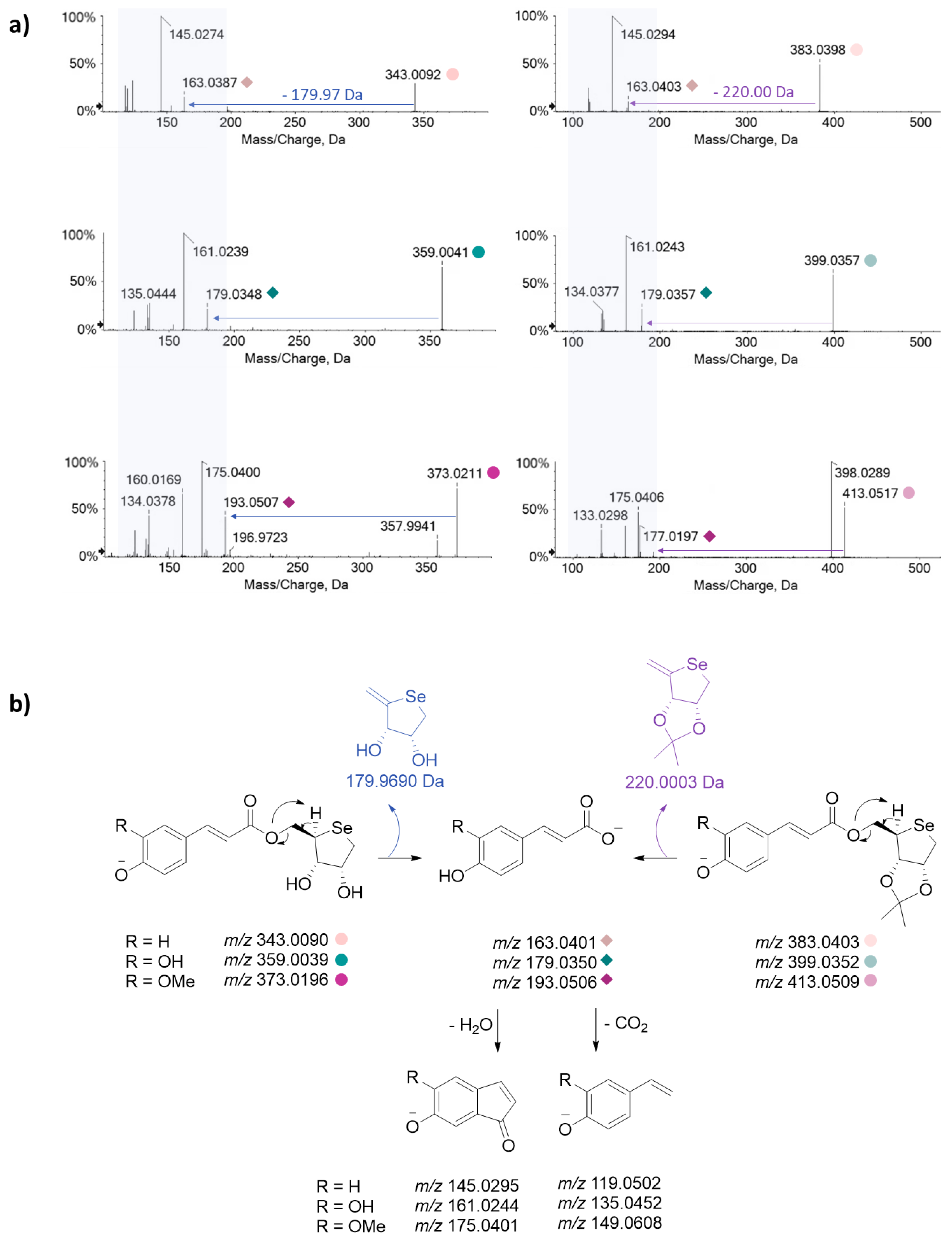 Antioxidants 13 00744 g003