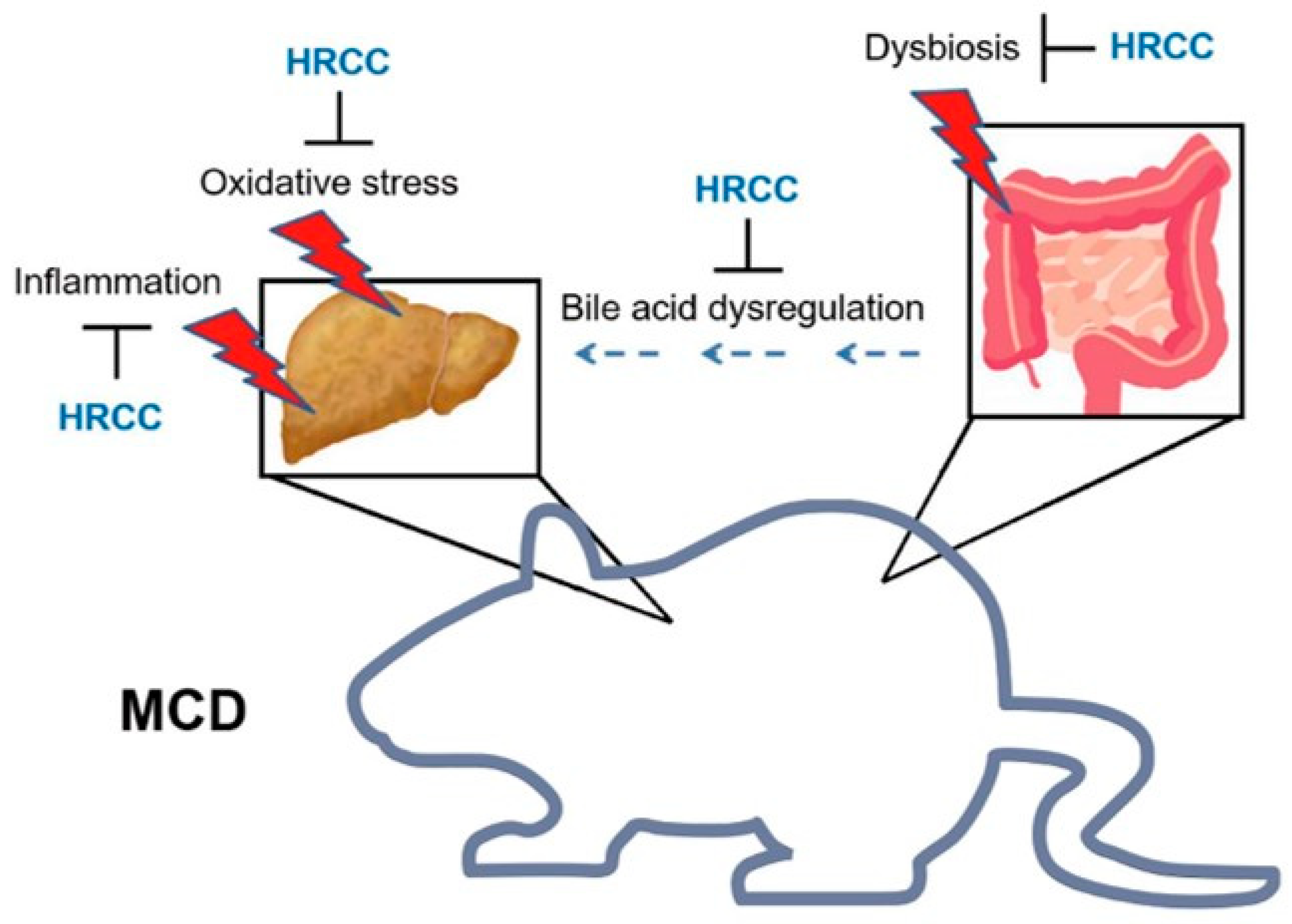 Antioxidants Free FullText A Novel Antioxidant, HydrogenRich