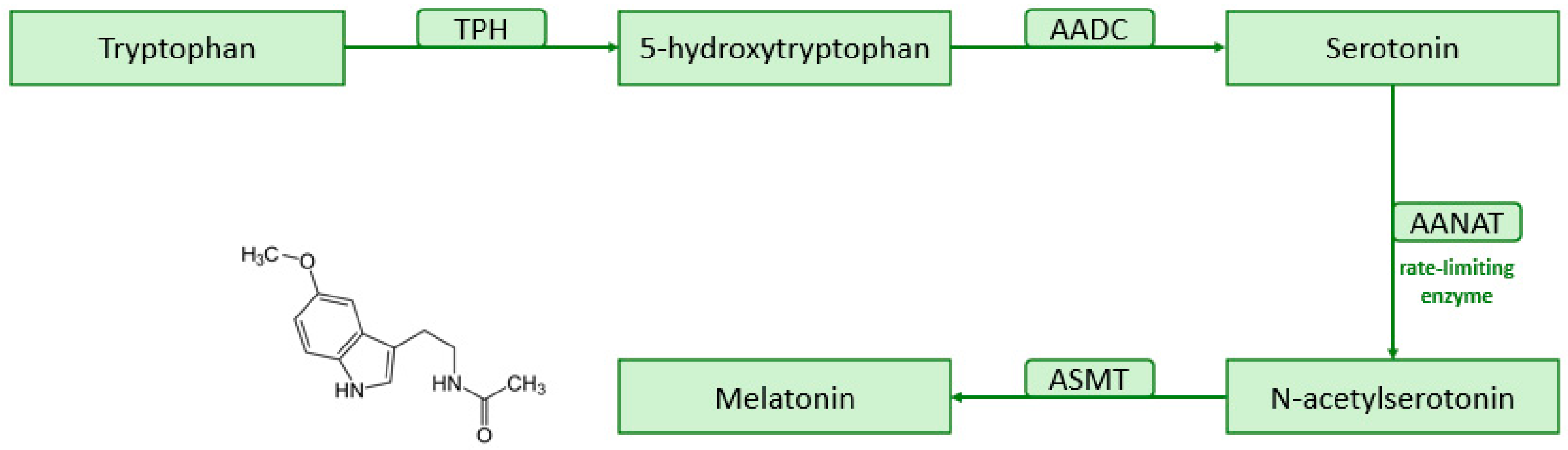 Antioxidants 13 00747 g002