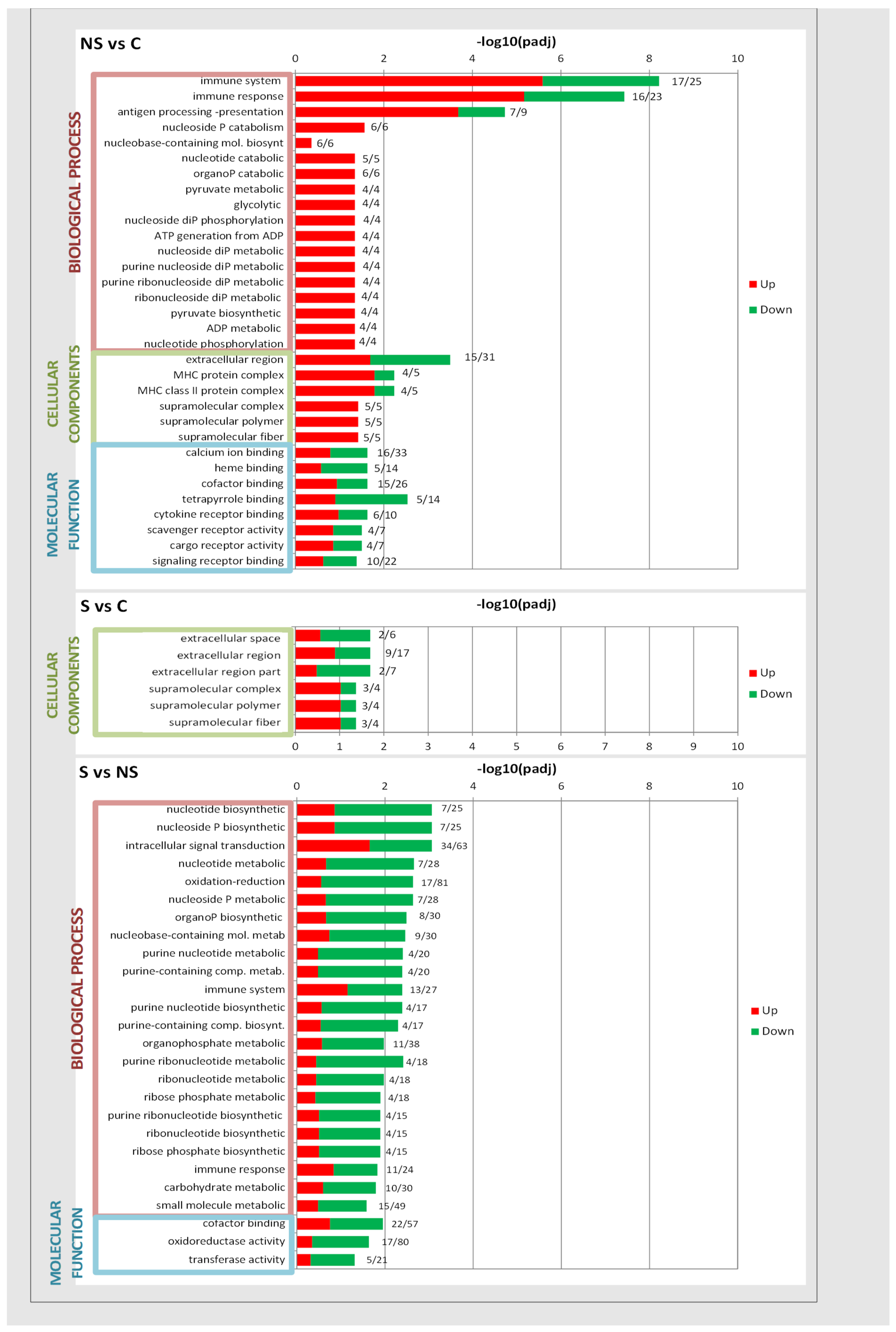 Antioxidants 13 00750 g003