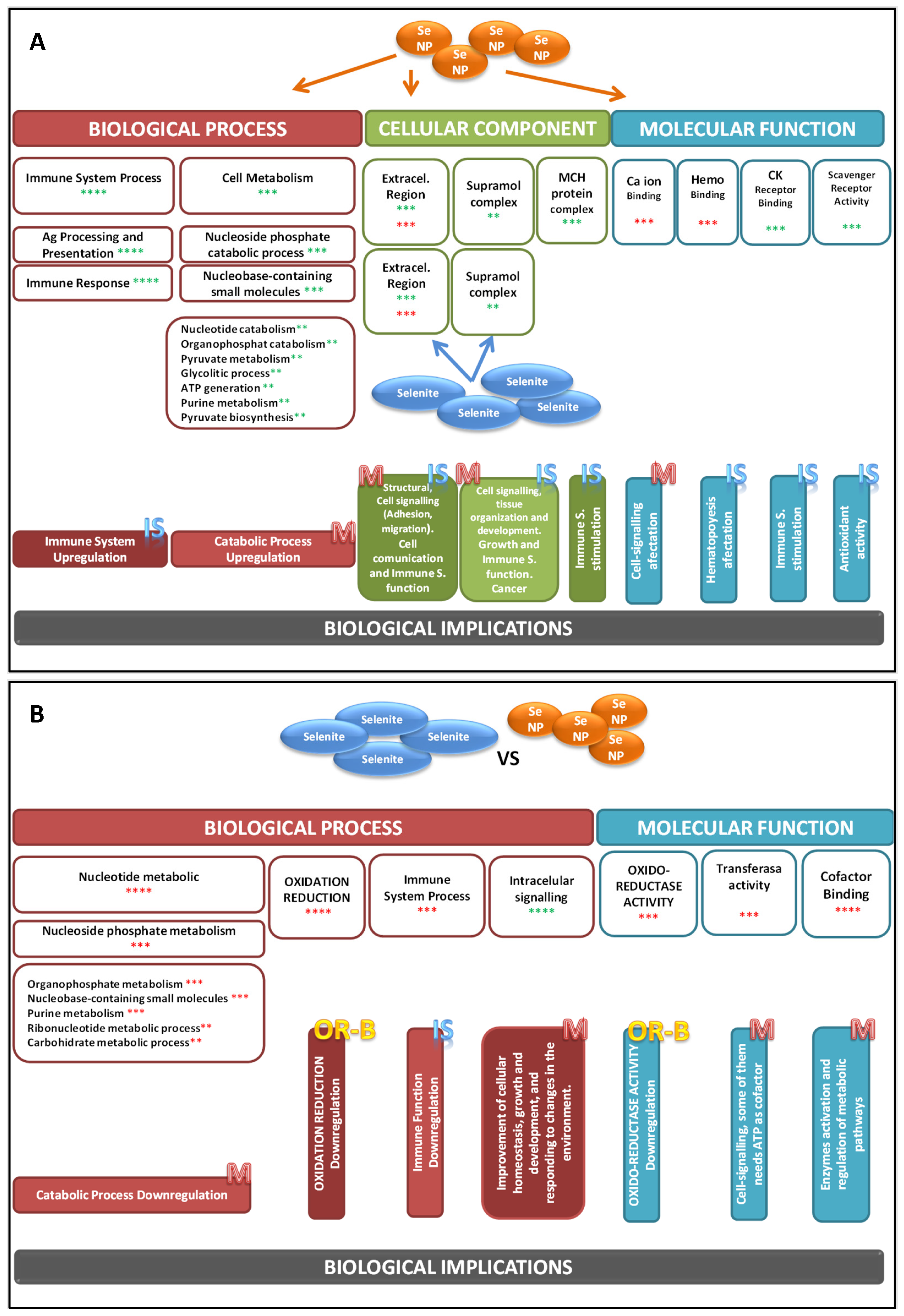 Antioxidants 13 00750 g004