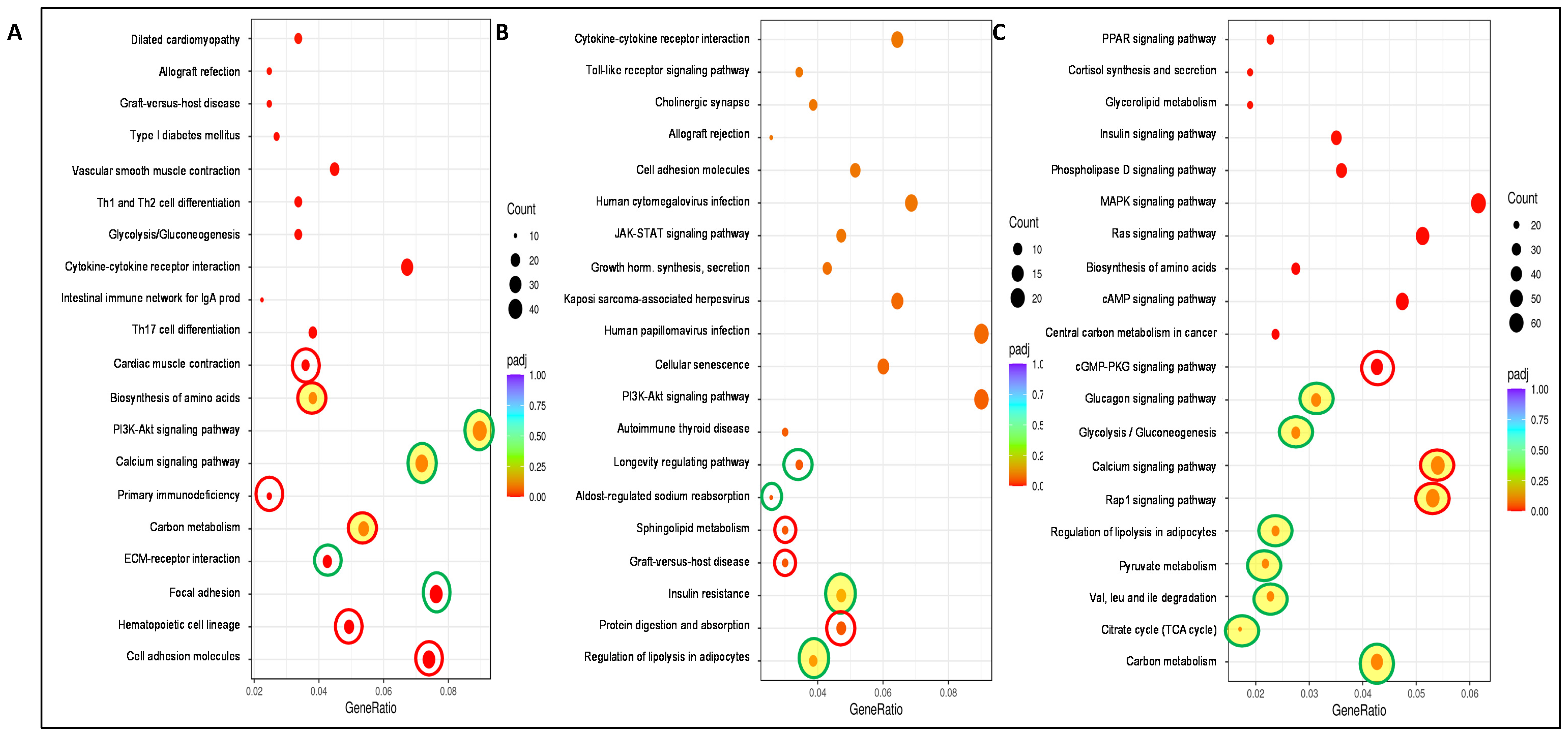 Antioxidants 13 00750 g005