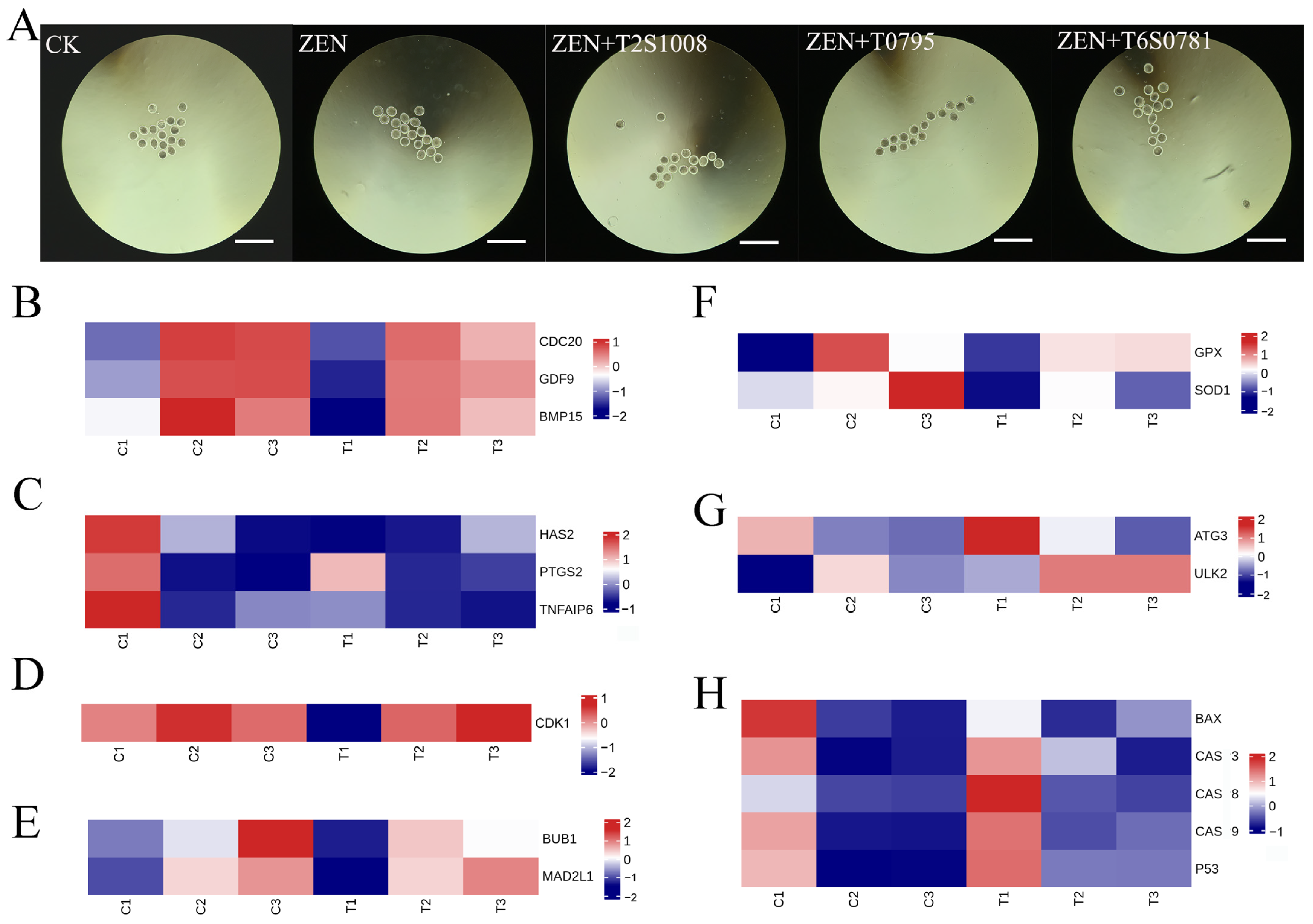 Antioxidants 13 00752 g003