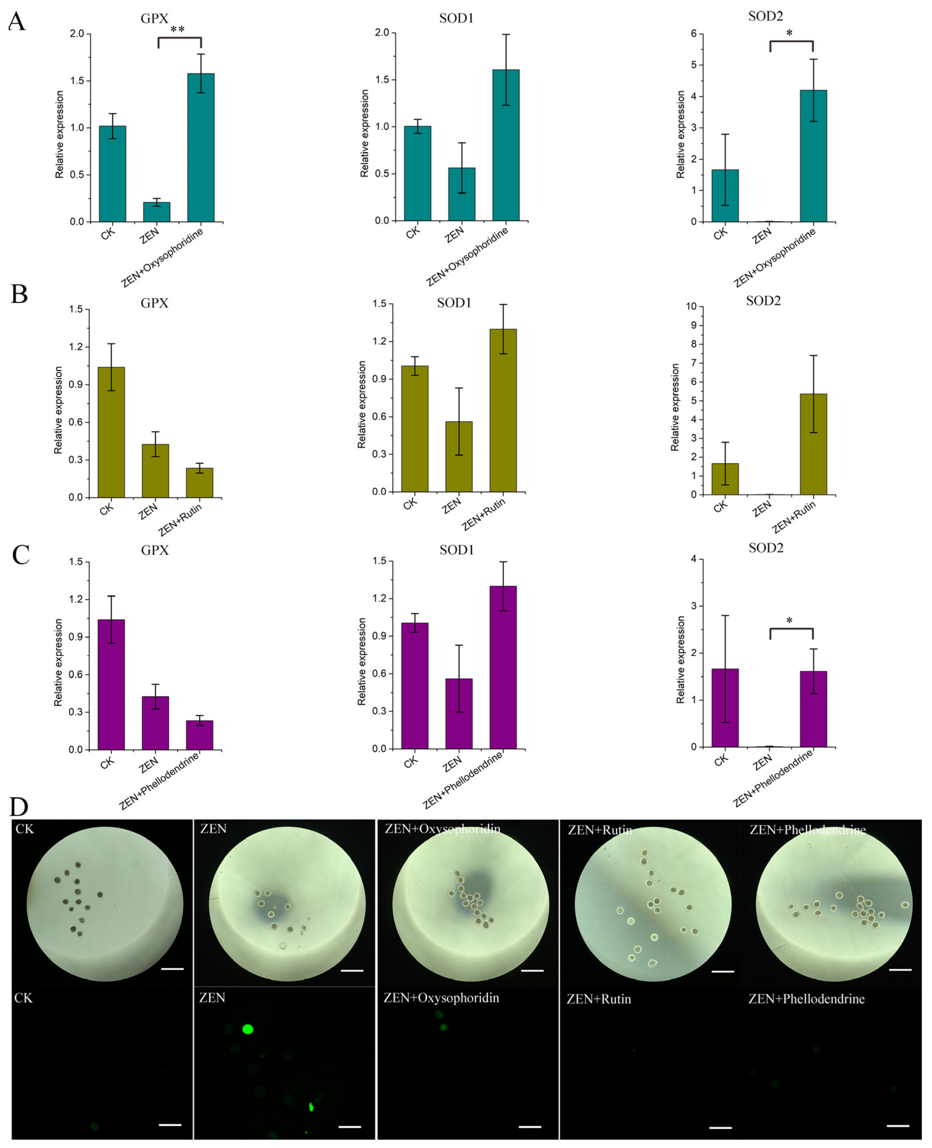 Antioxidants 13 00752 g007