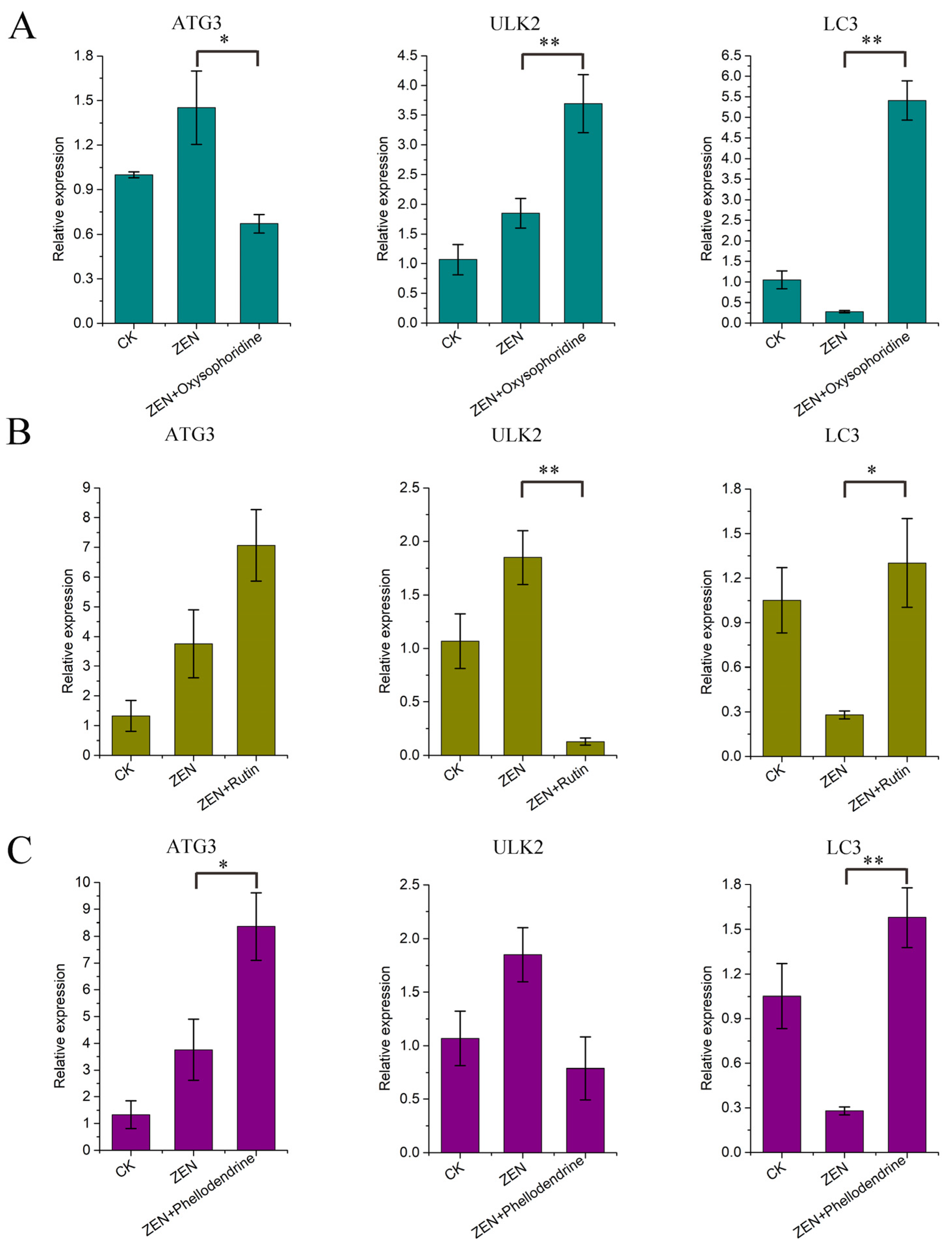 Antioxidants 13 00752 g008
