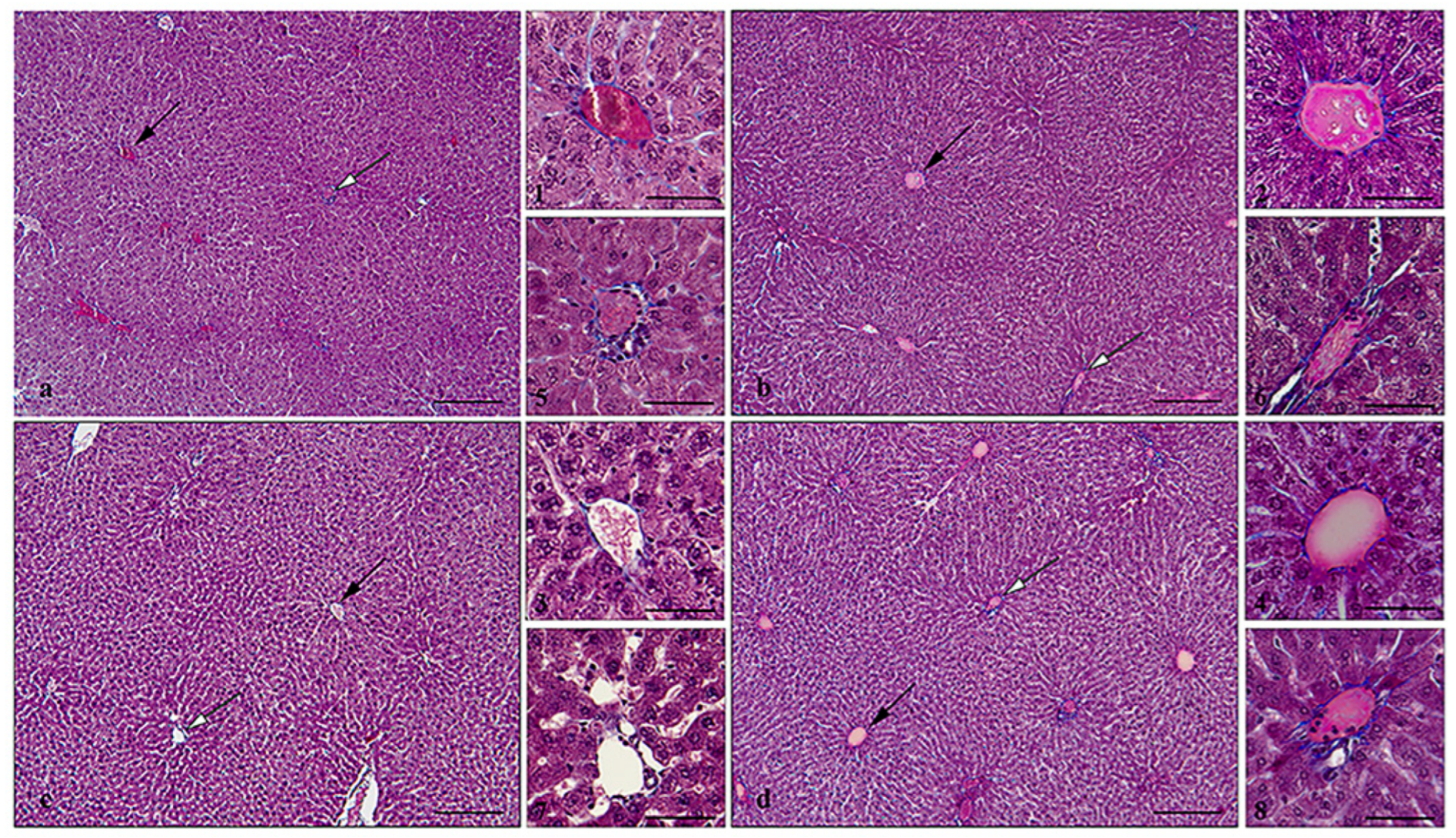 Antioxidants 13 00756 g002